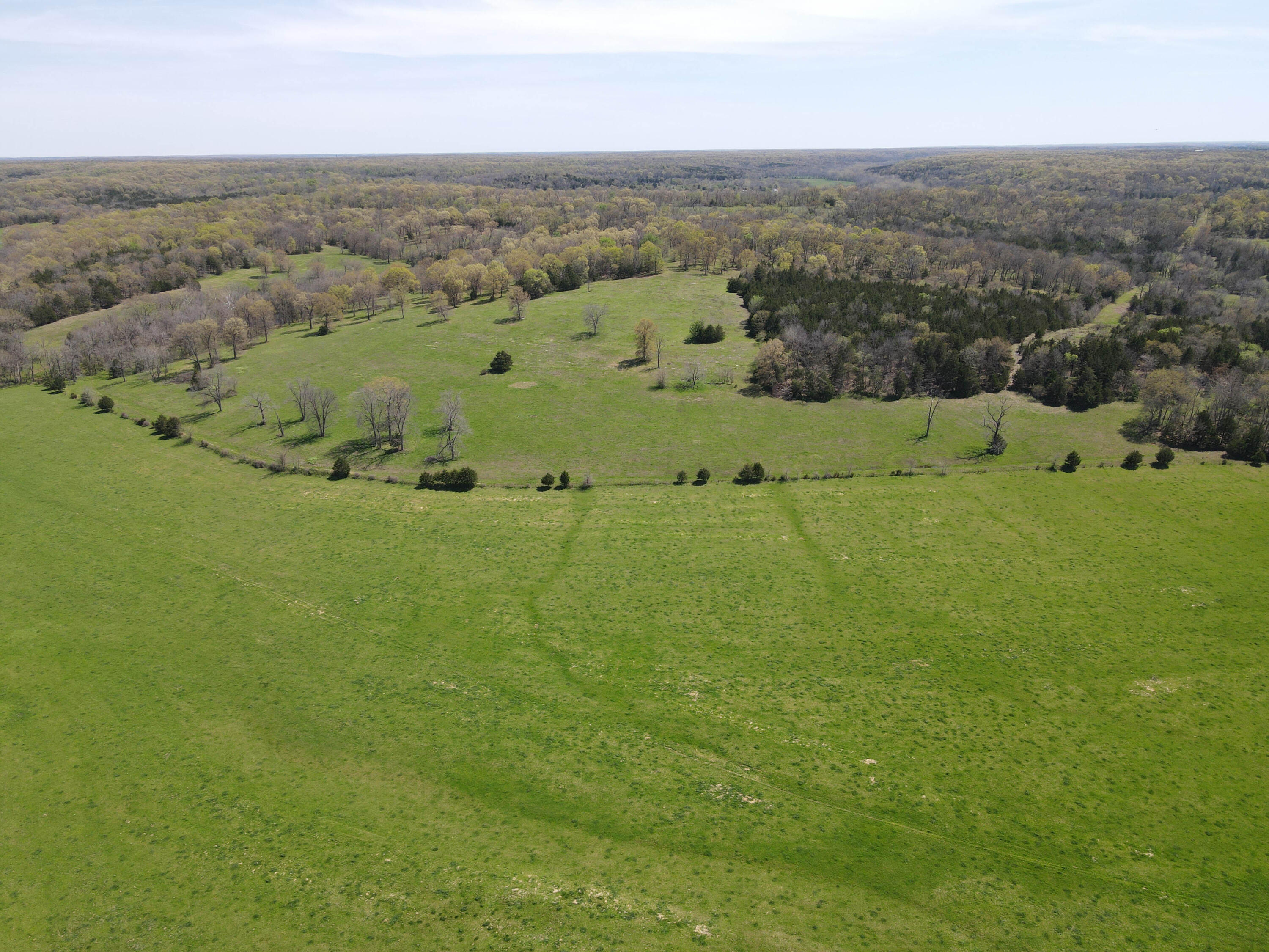 Photo 24 - Farm for sale – 1602 NE 1289 Road  Osceola, MO