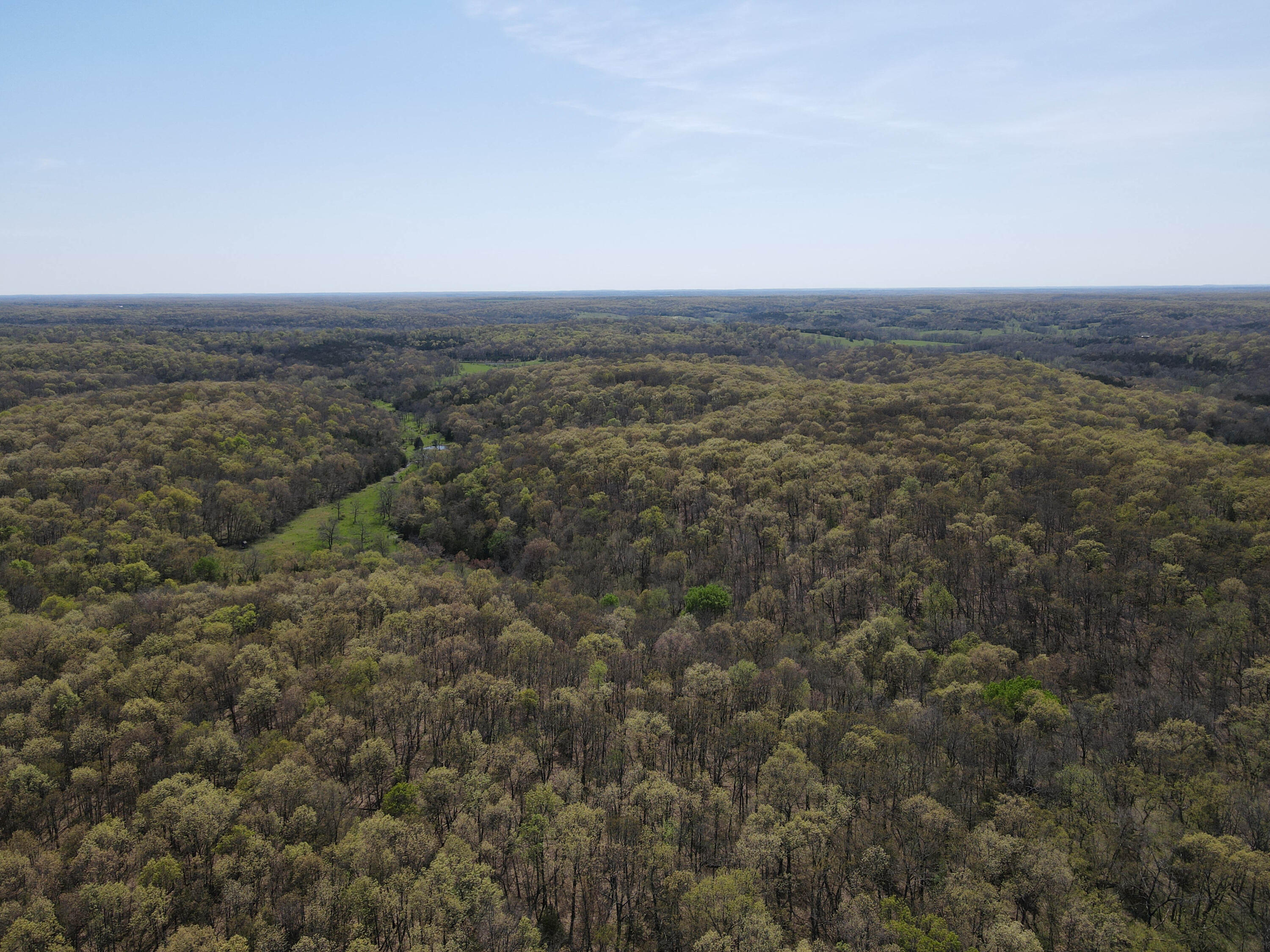 Photo 12 - Farm for sale – 1602 NE 1289 Road  Osceola, MO