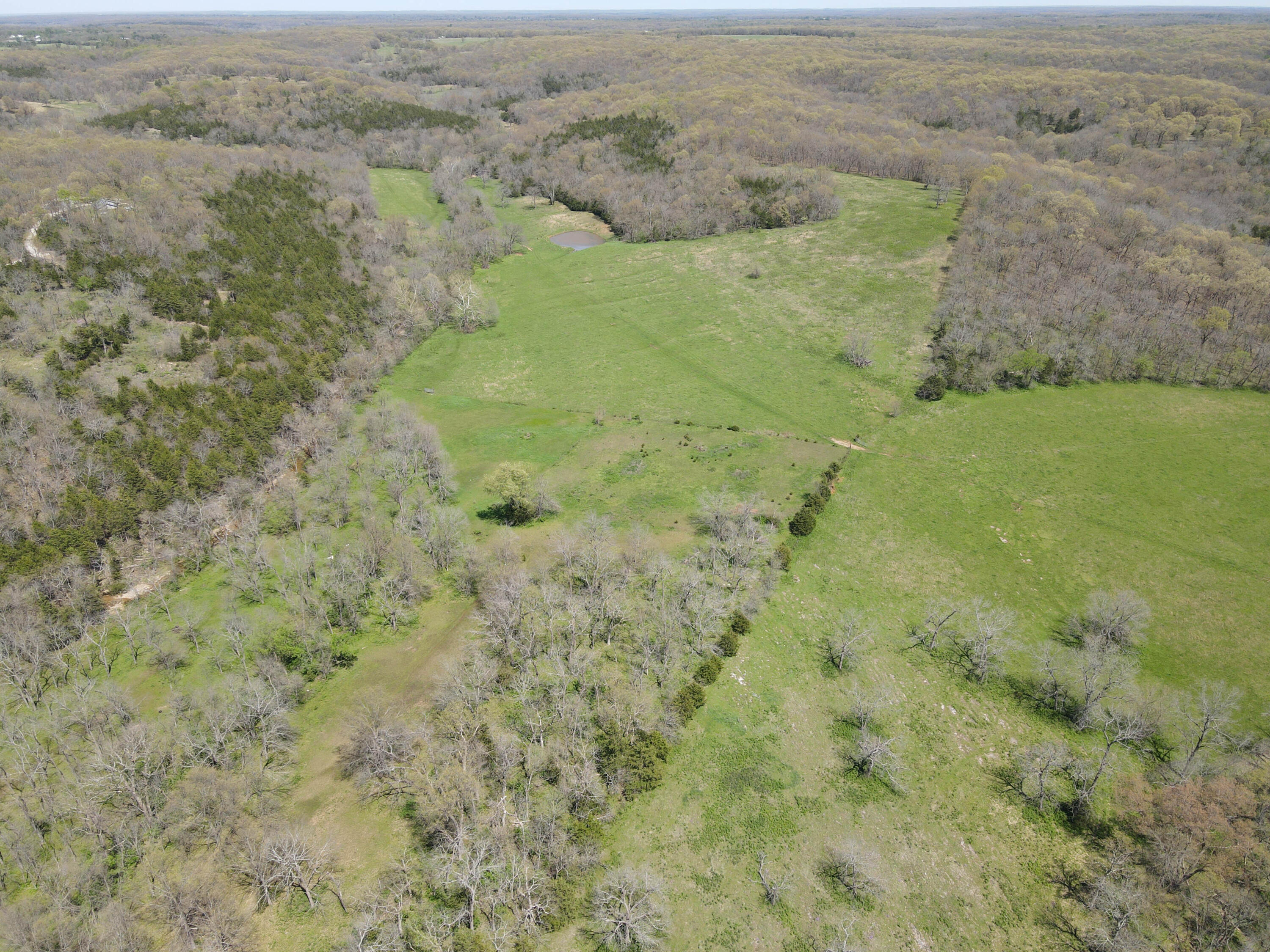 Photo 30 - Farm for sale – 1602 NE 1289 Road  Osceola, MO