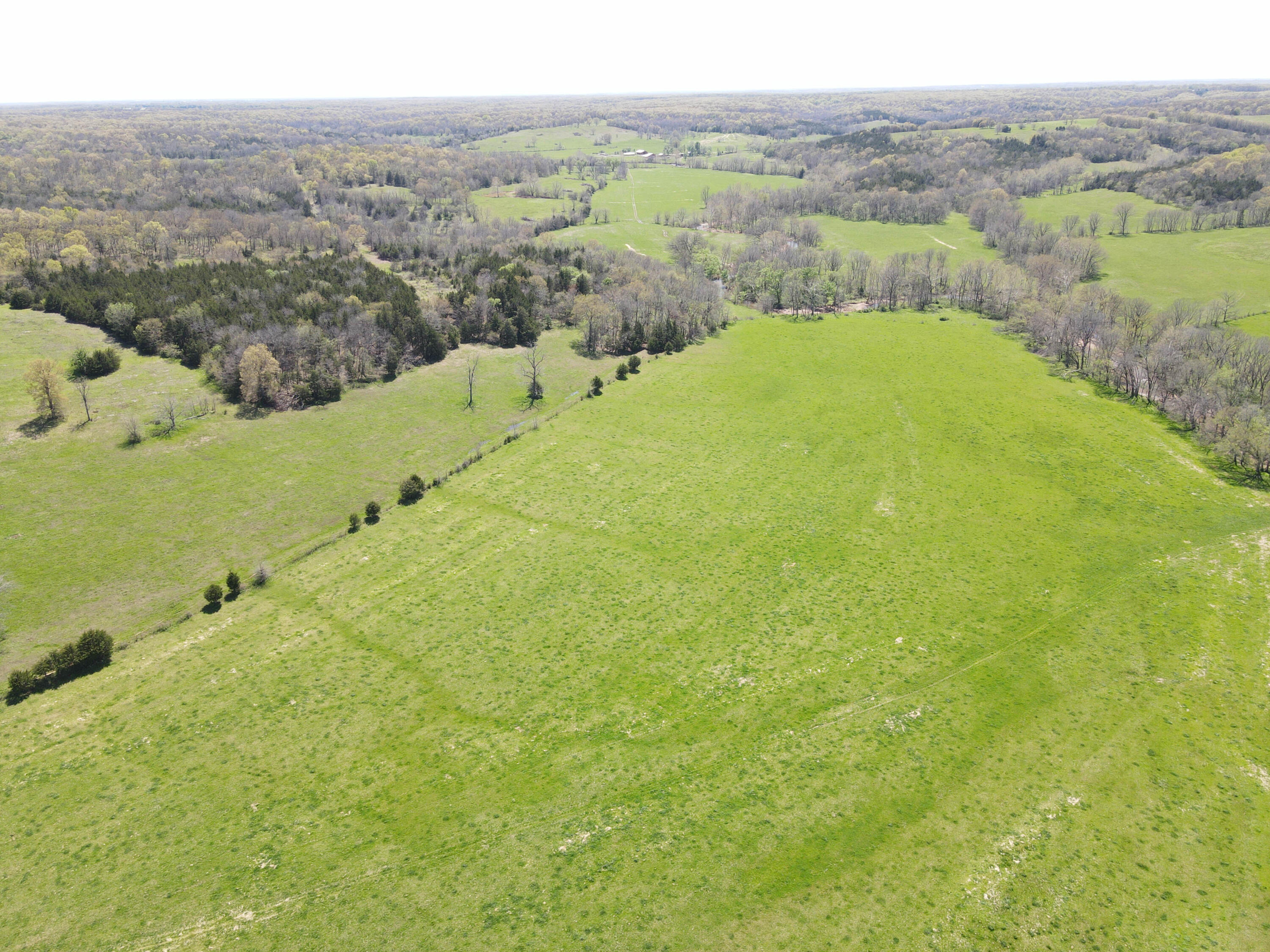 Photo 2 - Farm for sale – 1602 NE 1289 Road  Osceola, MO