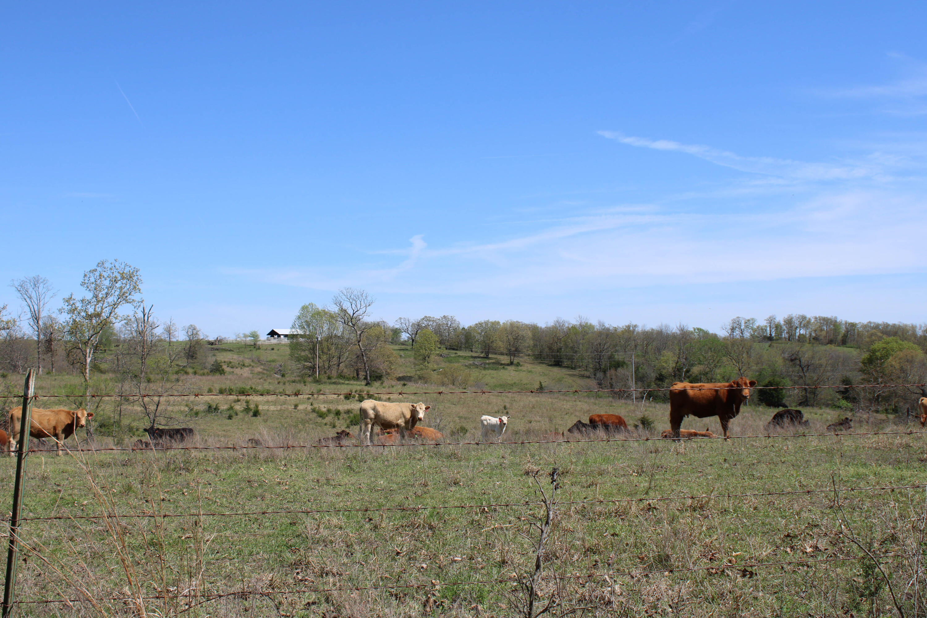 Photo 69 - Farm for sale – 1602 NE 1289 Road  Osceola, MO