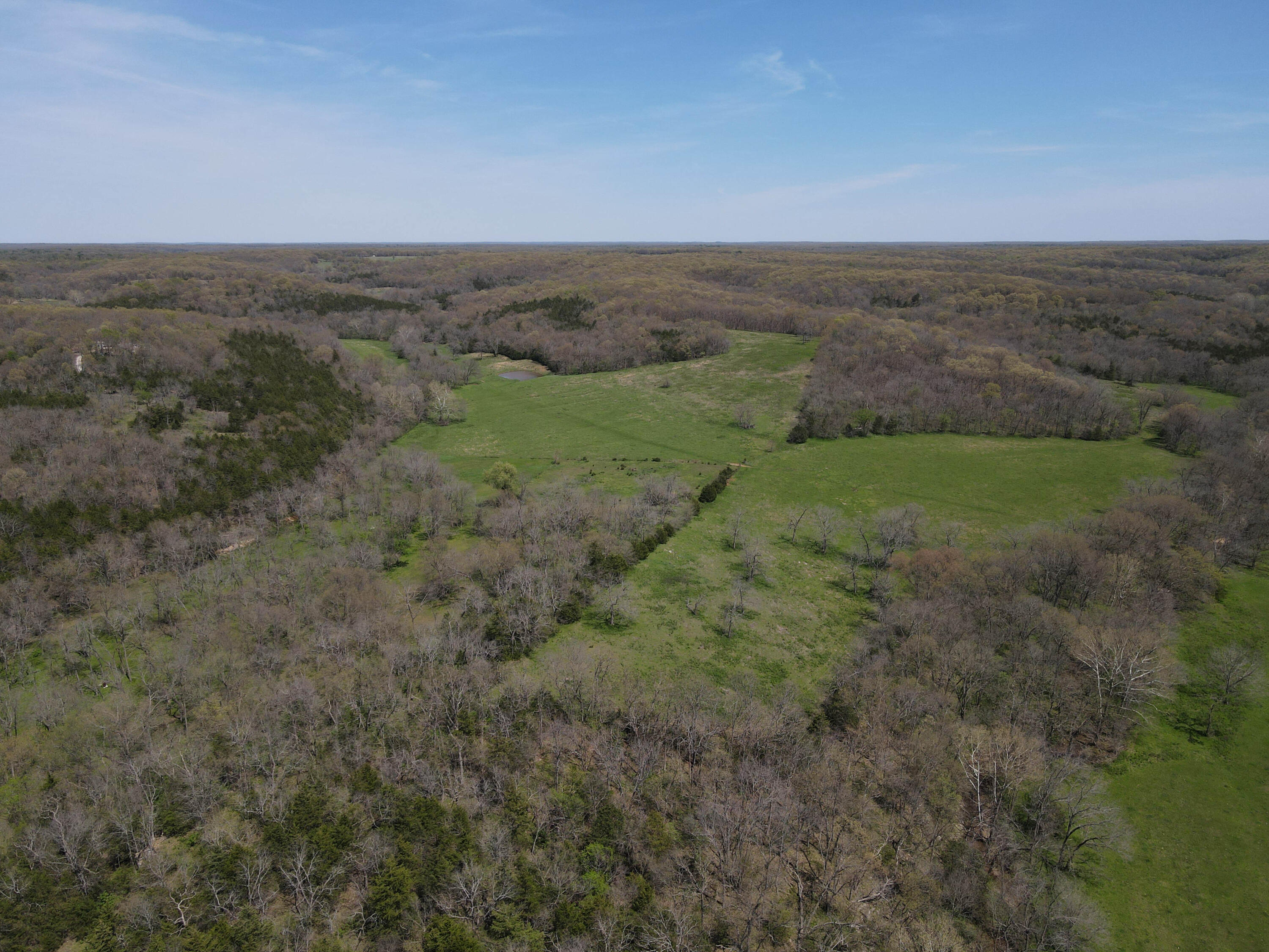 Photo 26 - Farm for sale – 1602 NE 1289 Road  Osceola, MO