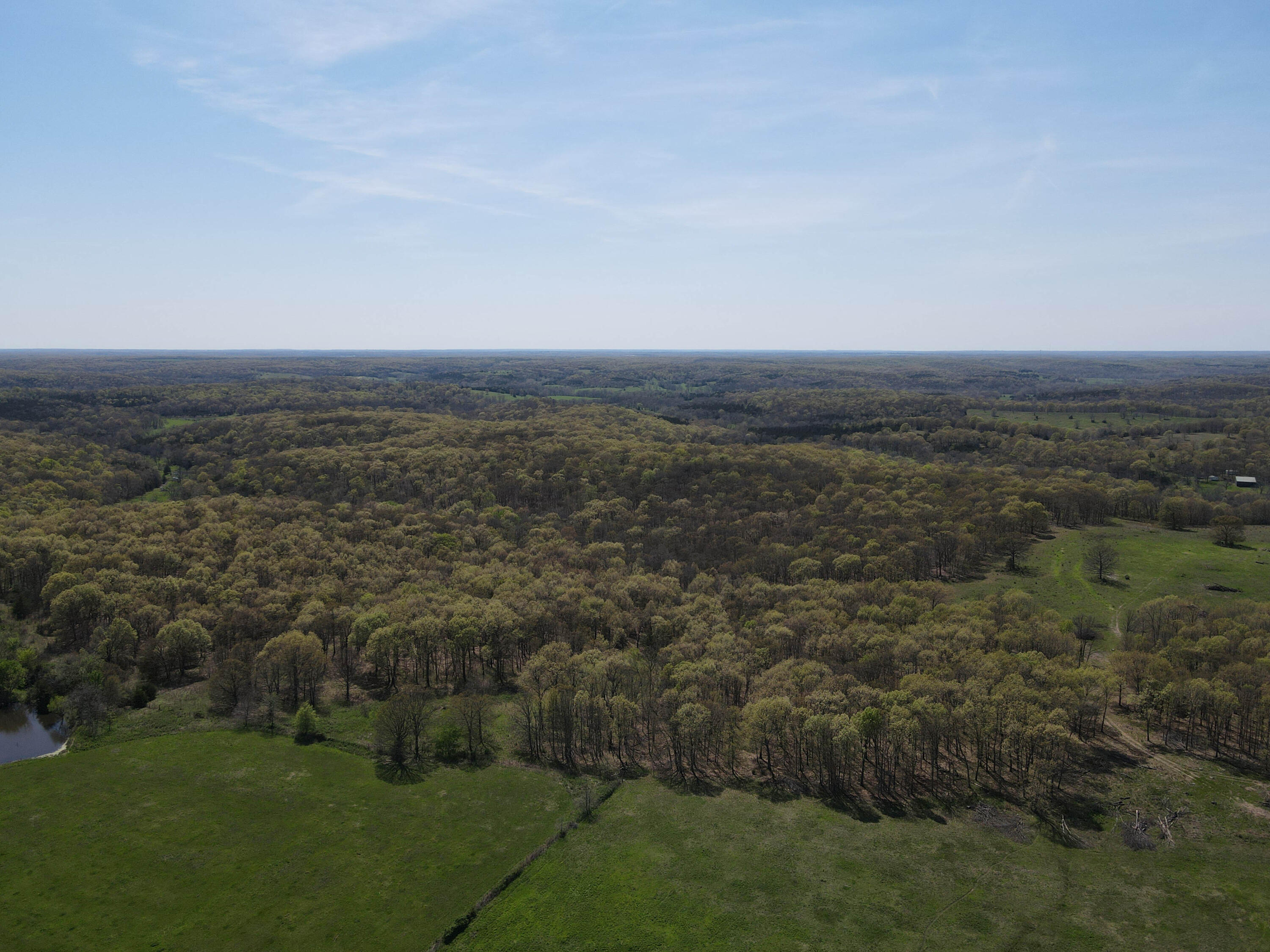 Photo 42 - Farm for sale – 1602 NE 1289 Road  Osceola, MO
