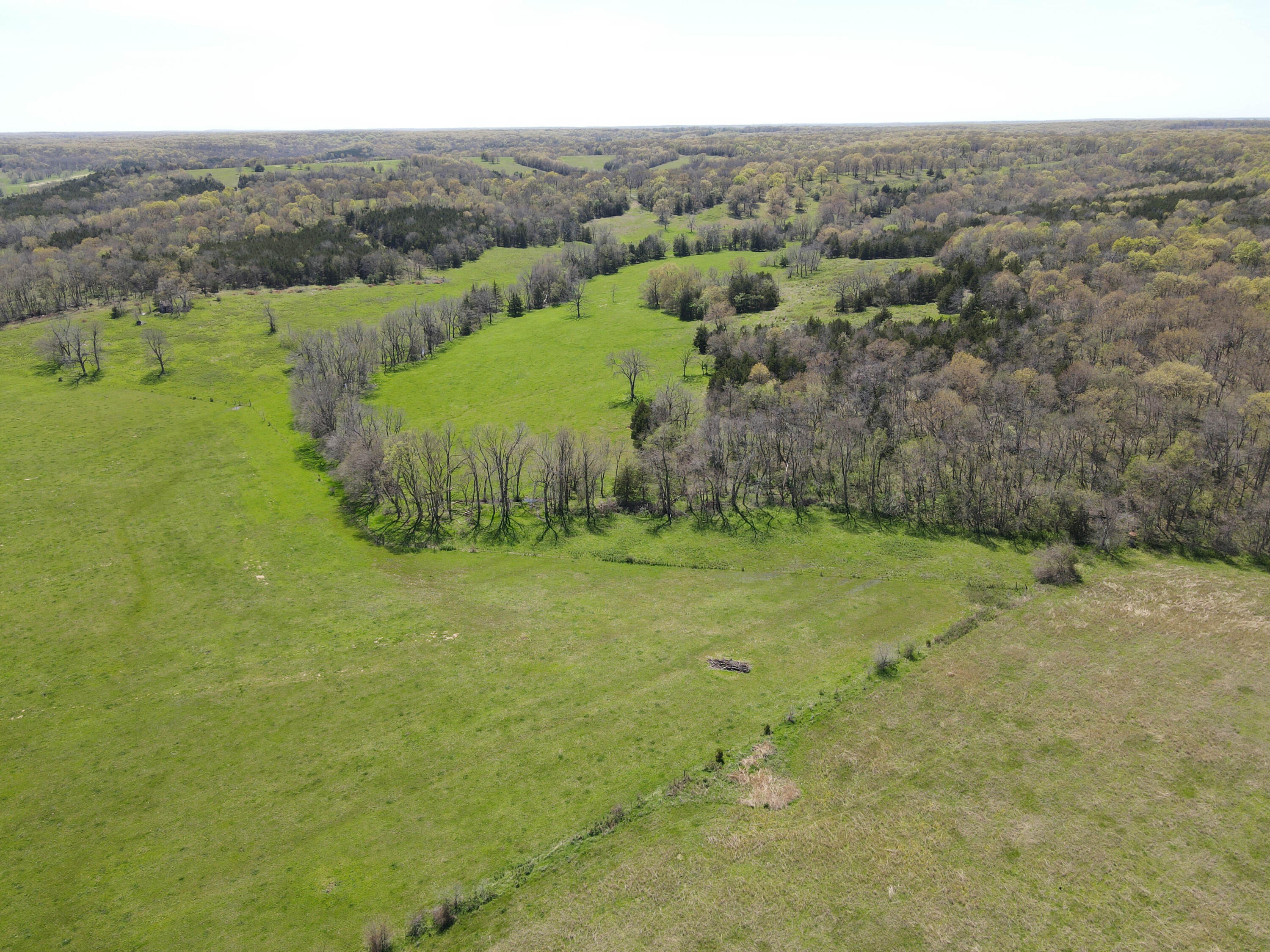 Photo 15 - Farm for sale – 1602 NE 1289 Road  Osceola, MO