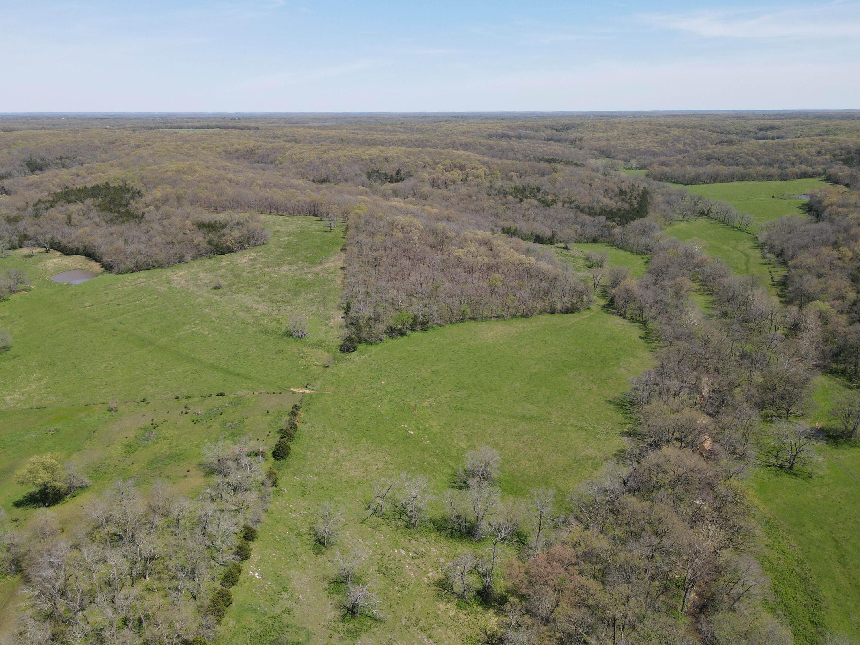 Photo 31 - Farm for sale – 1602 NE 1289 Road  Osceola, MO