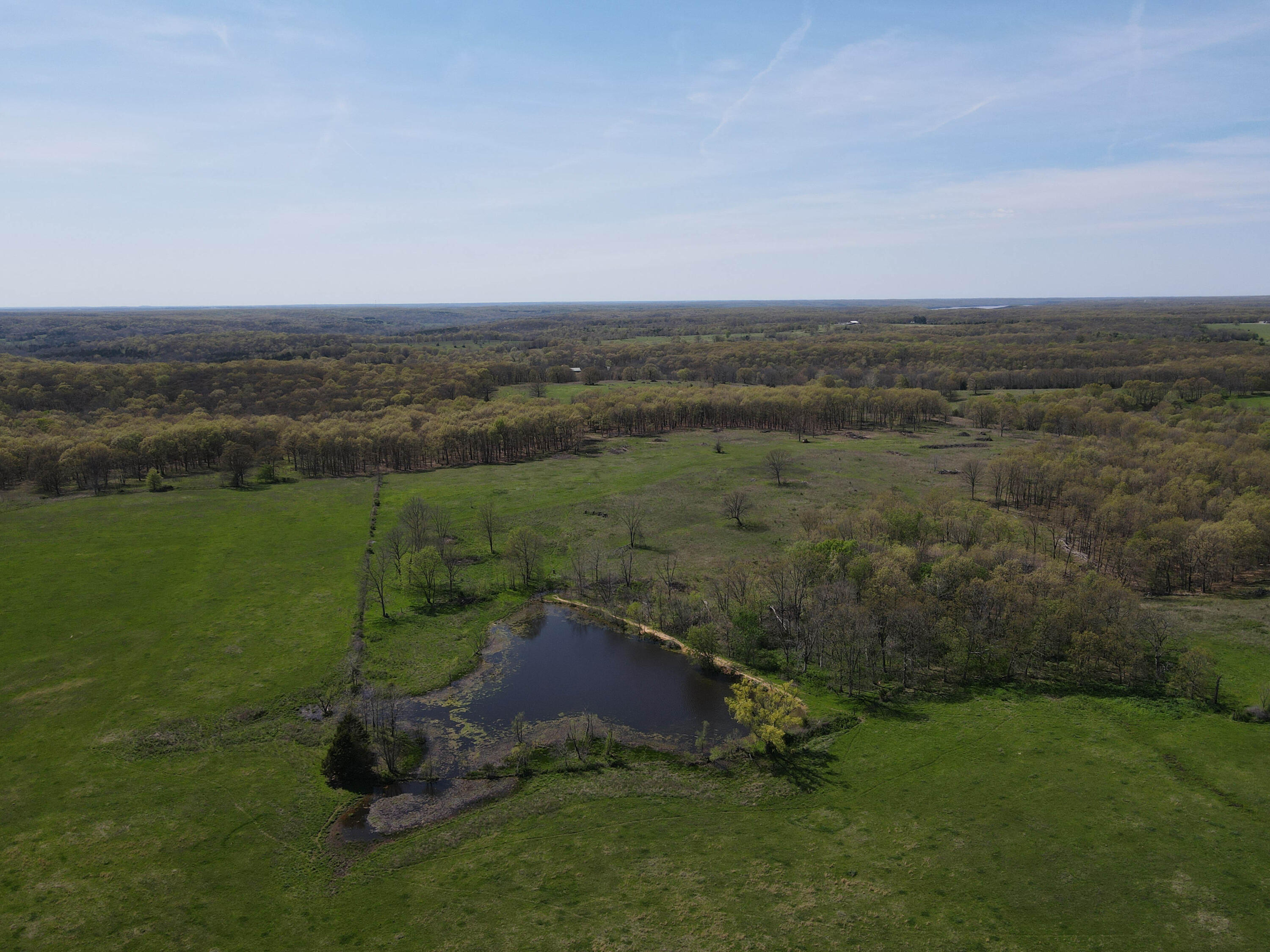 Photo 39 - Farm for sale – 1602 NE 1289 Road  Osceola, MO