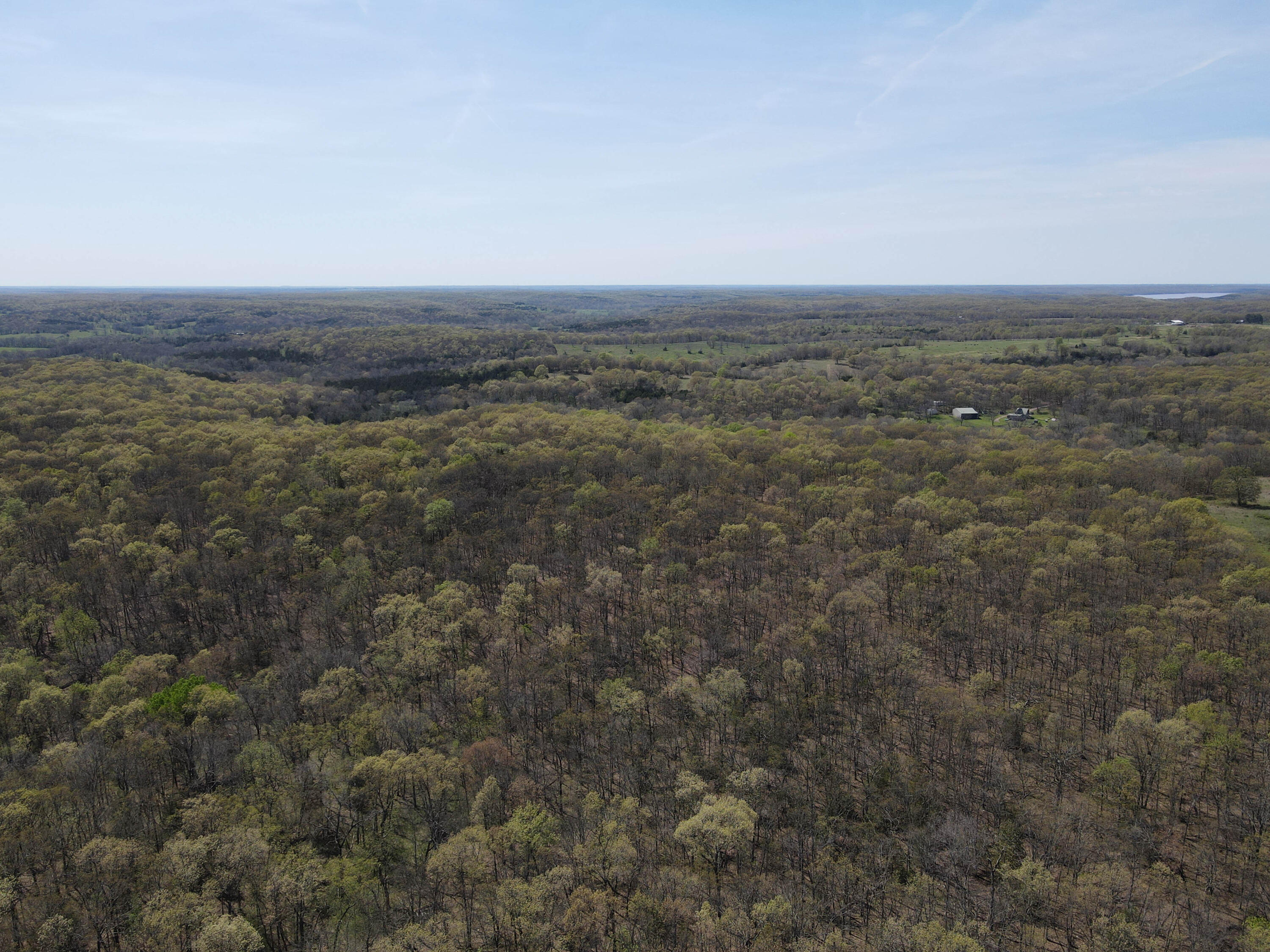 Photo 13 - Farm for sale – 1602 NE 1289 Road  Osceola, MO