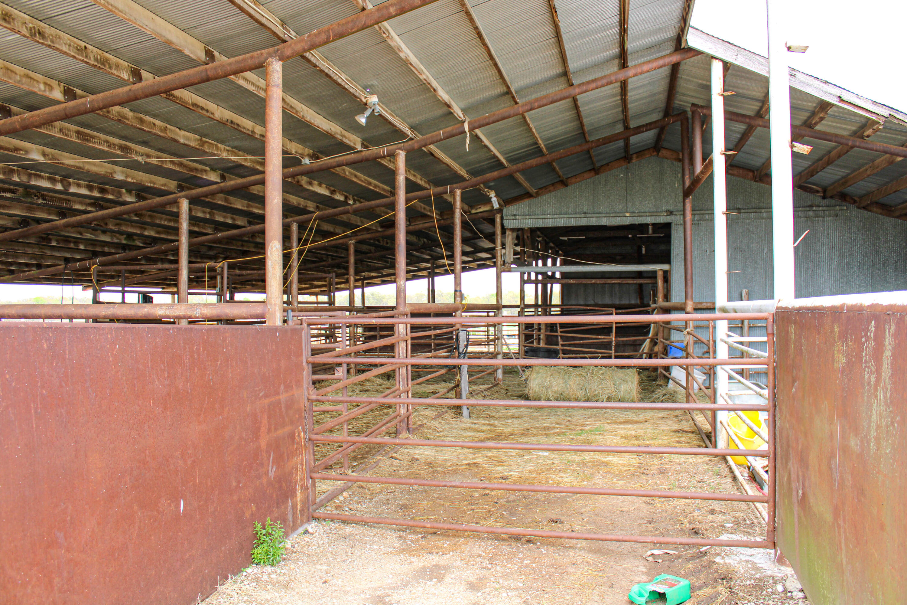 Photo 49 - Farm for sale – 1602 NE 1289 Road  Osceola, MO
