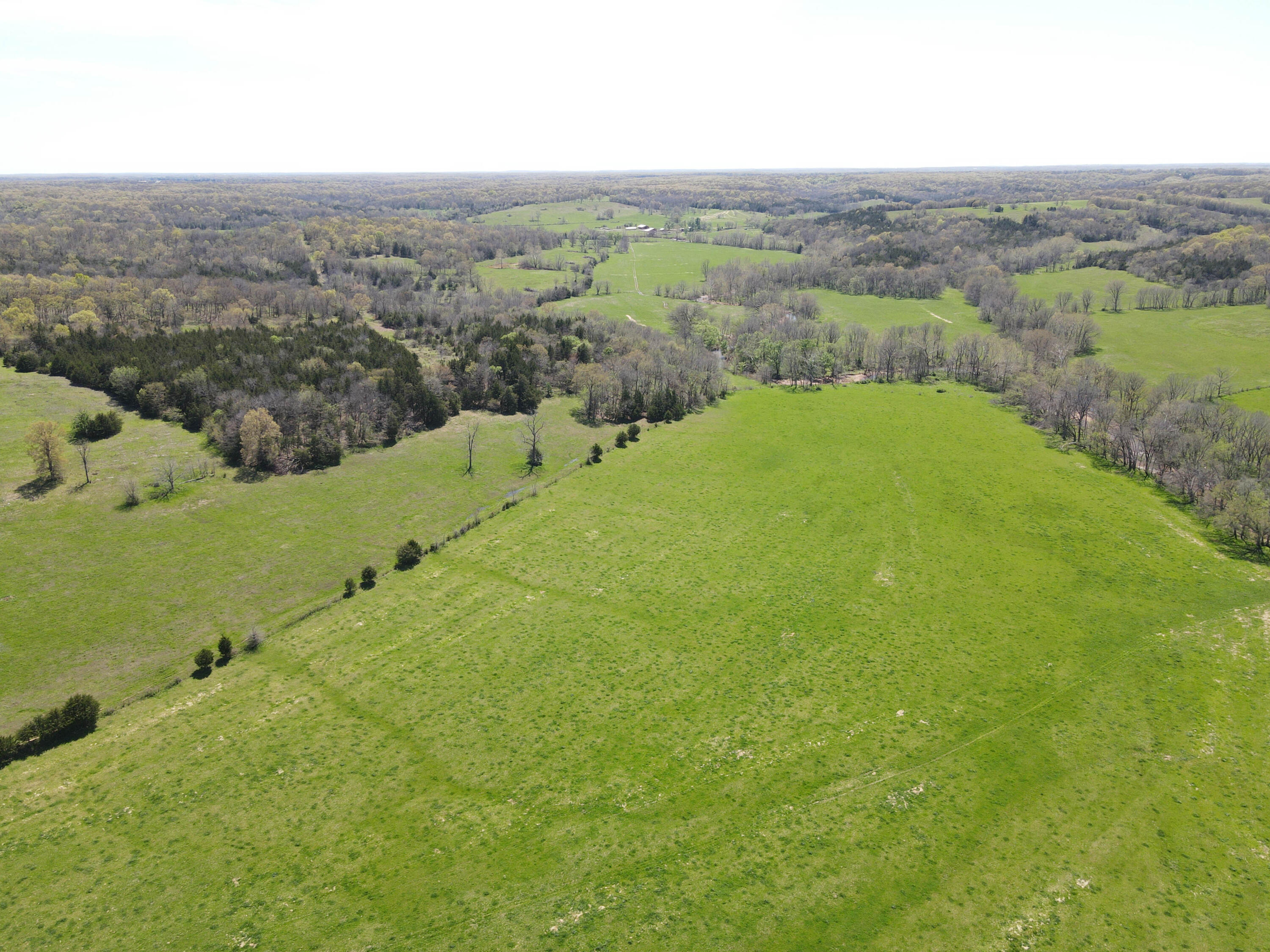 Photo 28 - Farm for sale – 1602 NE 1289 Road  Osceola, MO