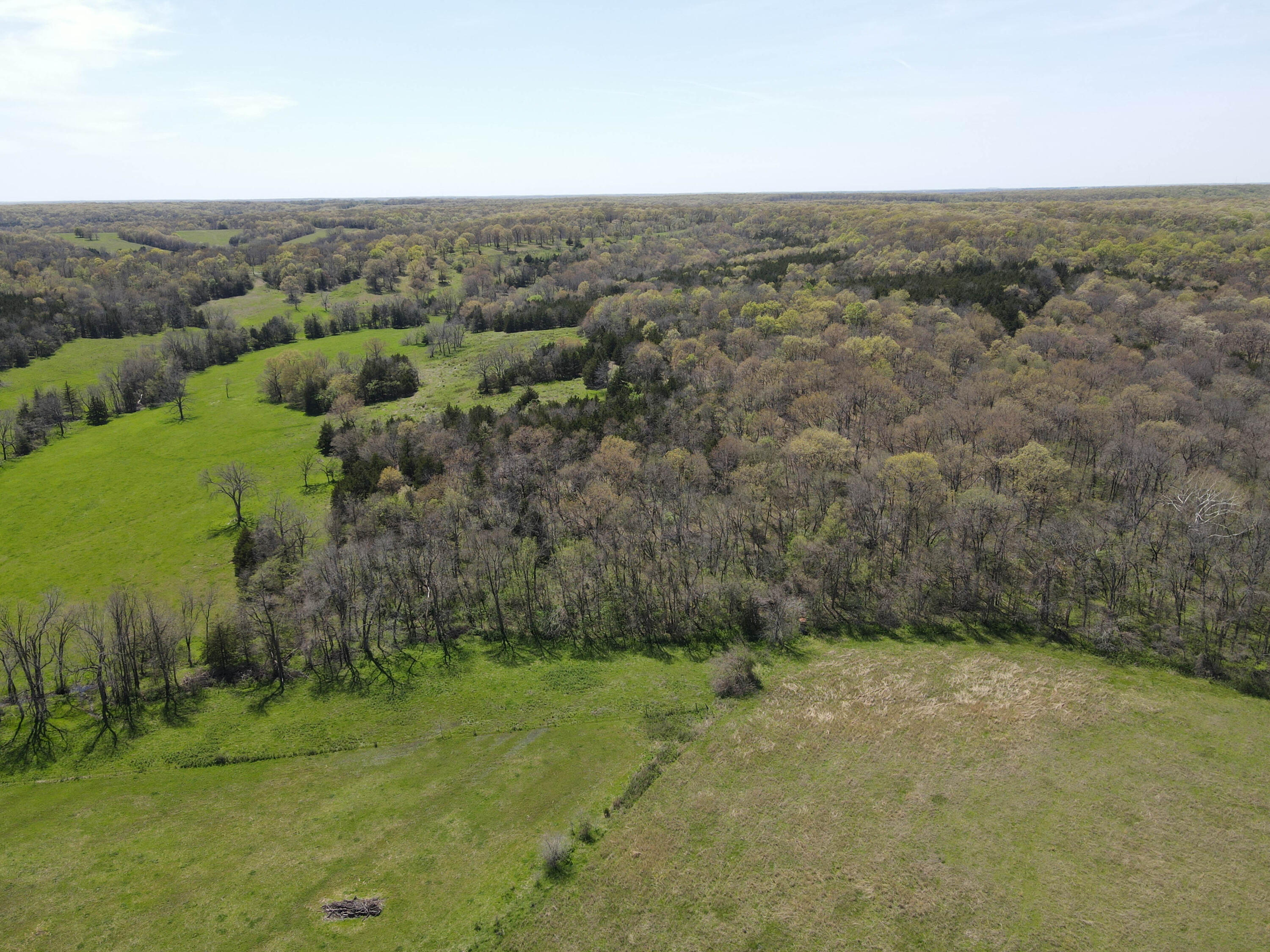 Photo 16 - Farm for sale – 1602 NE 1289 Road  Osceola, MO