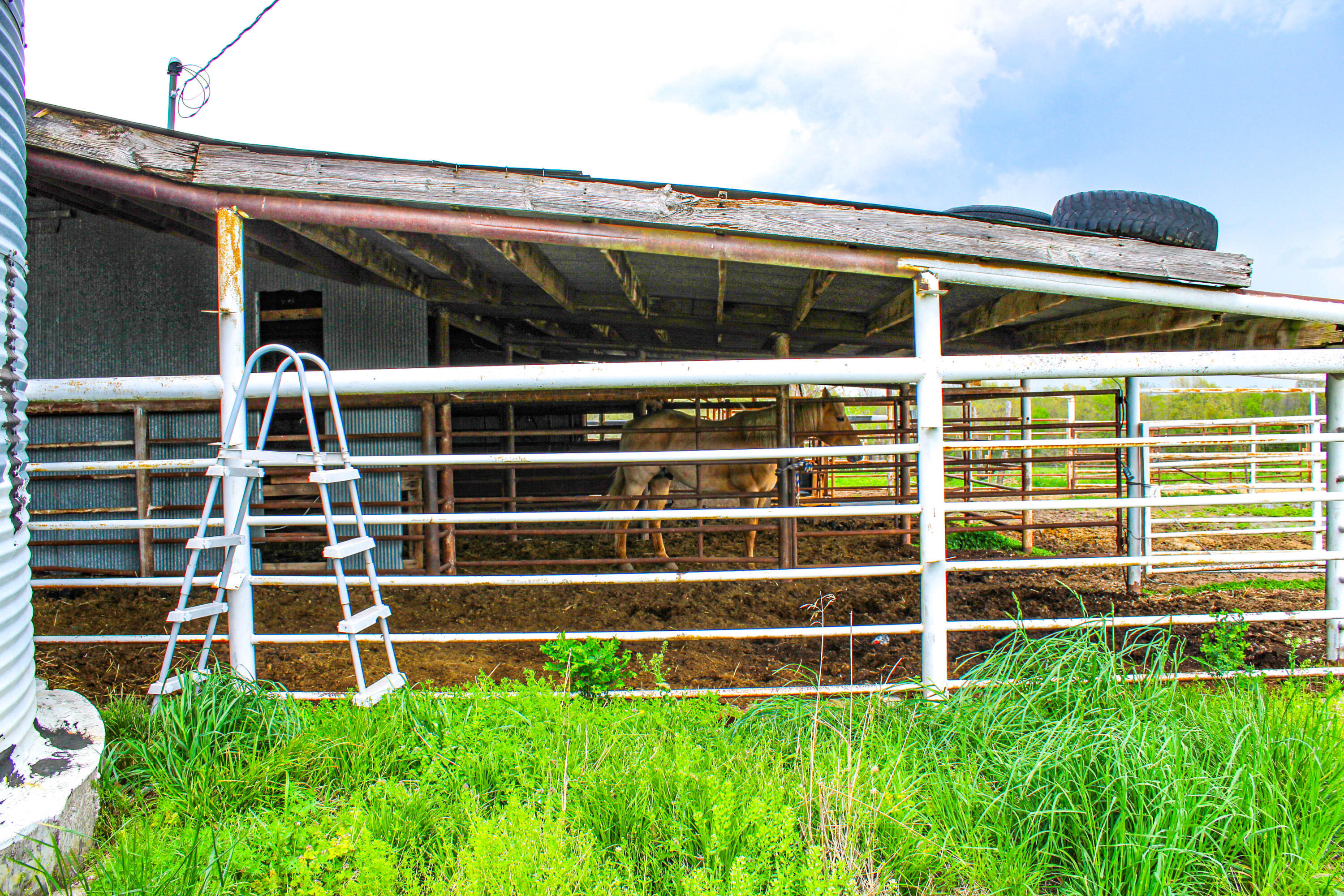 Photo 50 - Farm for sale – 1602 NE 1289 Road  Osceola, MO