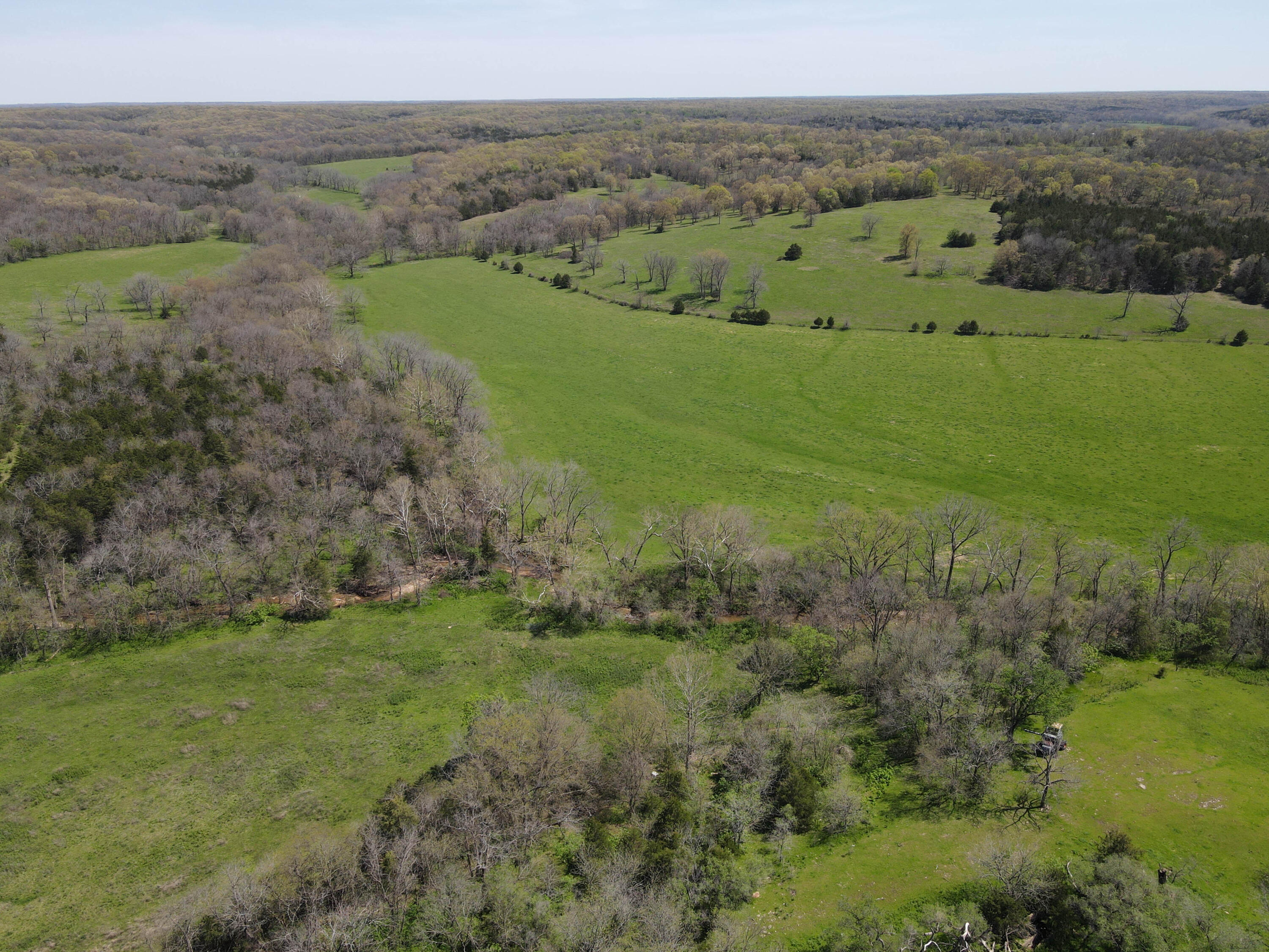 Photo 23 - Farm for sale – 1602 NE 1289 Road  Osceola, MO