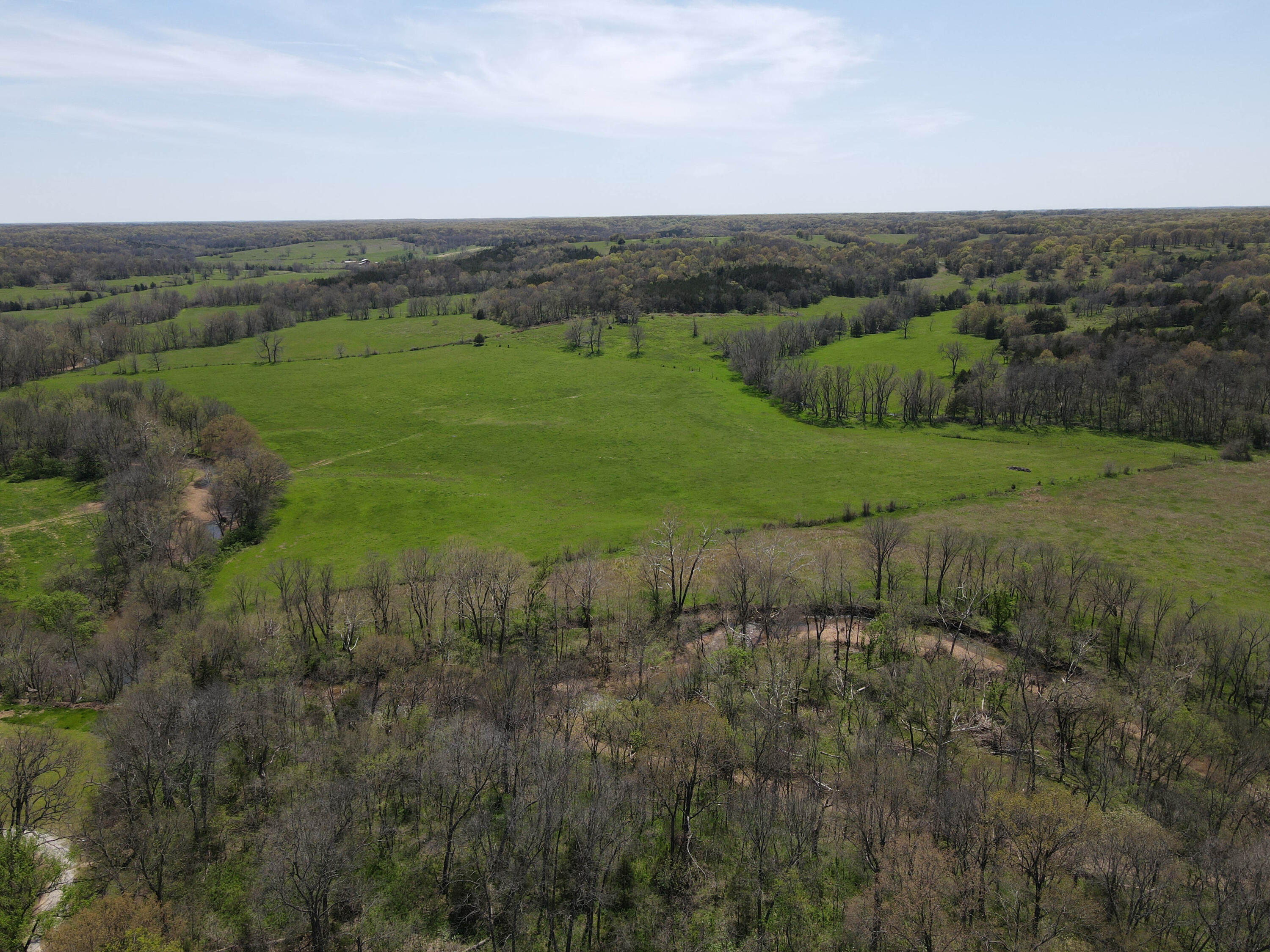 Photo 4 - Farm for sale – 1602 NE 1289 Road  Osceola, MO
