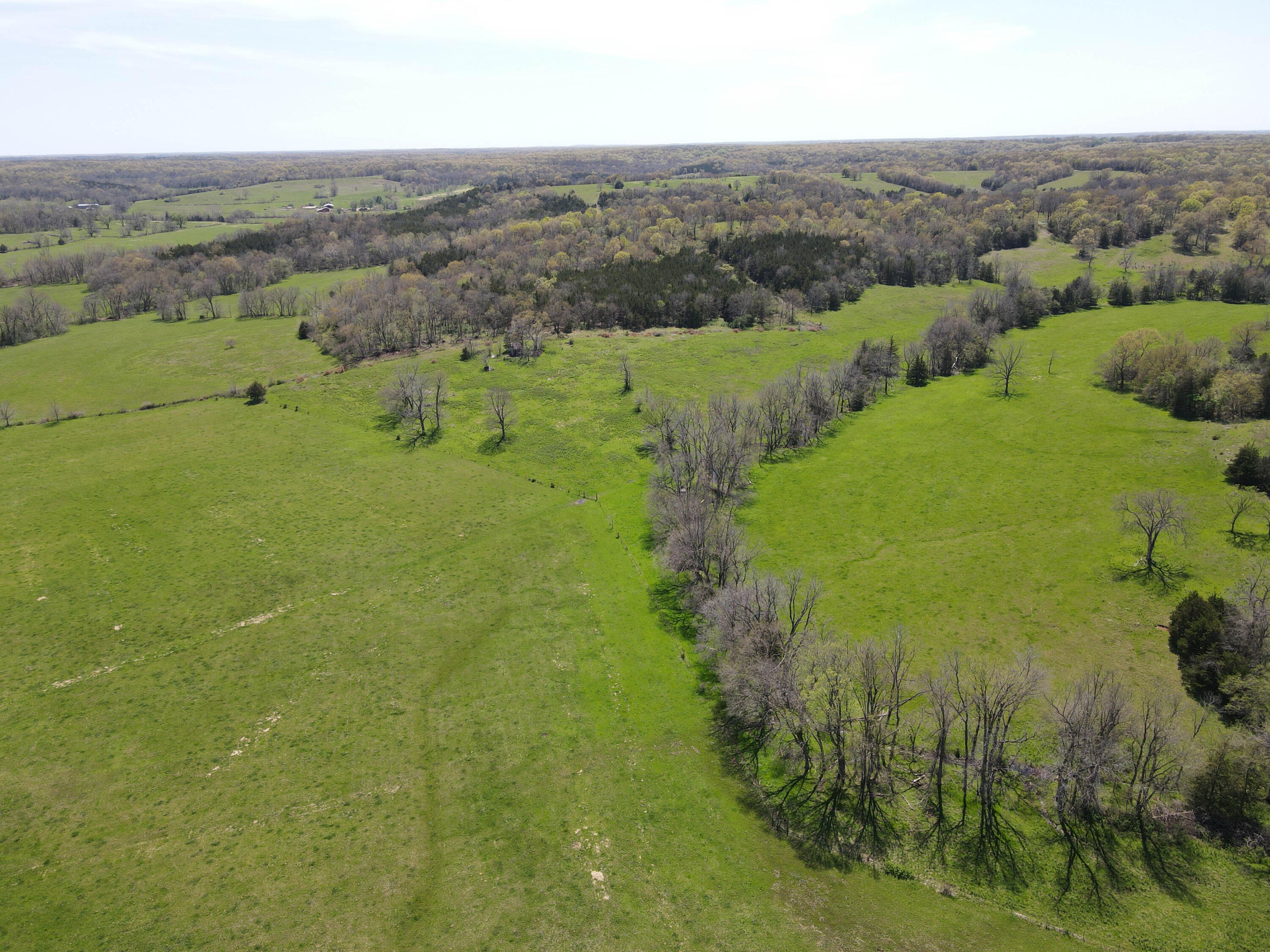 Photo 19 - Farm for sale – 1602 NE 1289 Road  Osceola, MO
