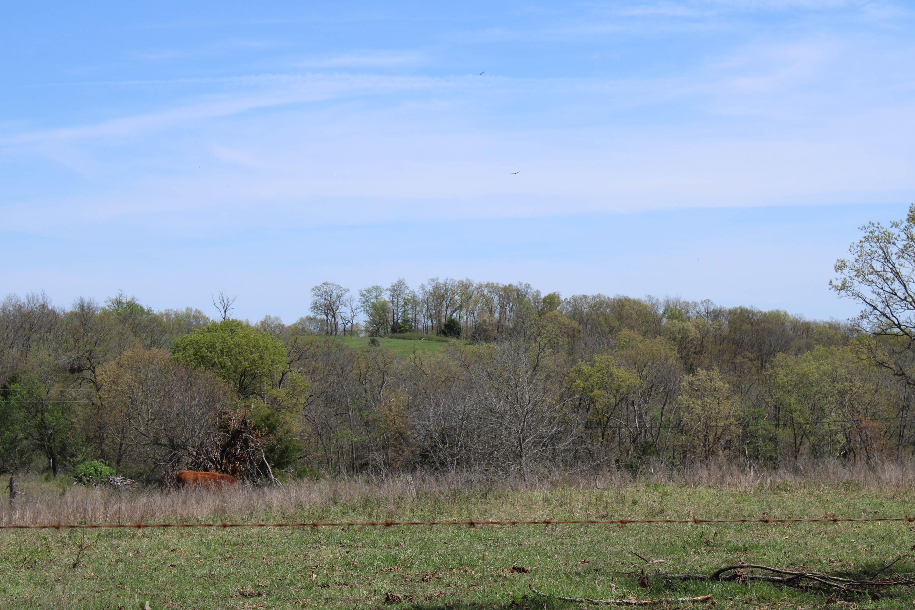Photo 66 - Farm for sale – 1602 NE 1289 Road  Osceola, MO
