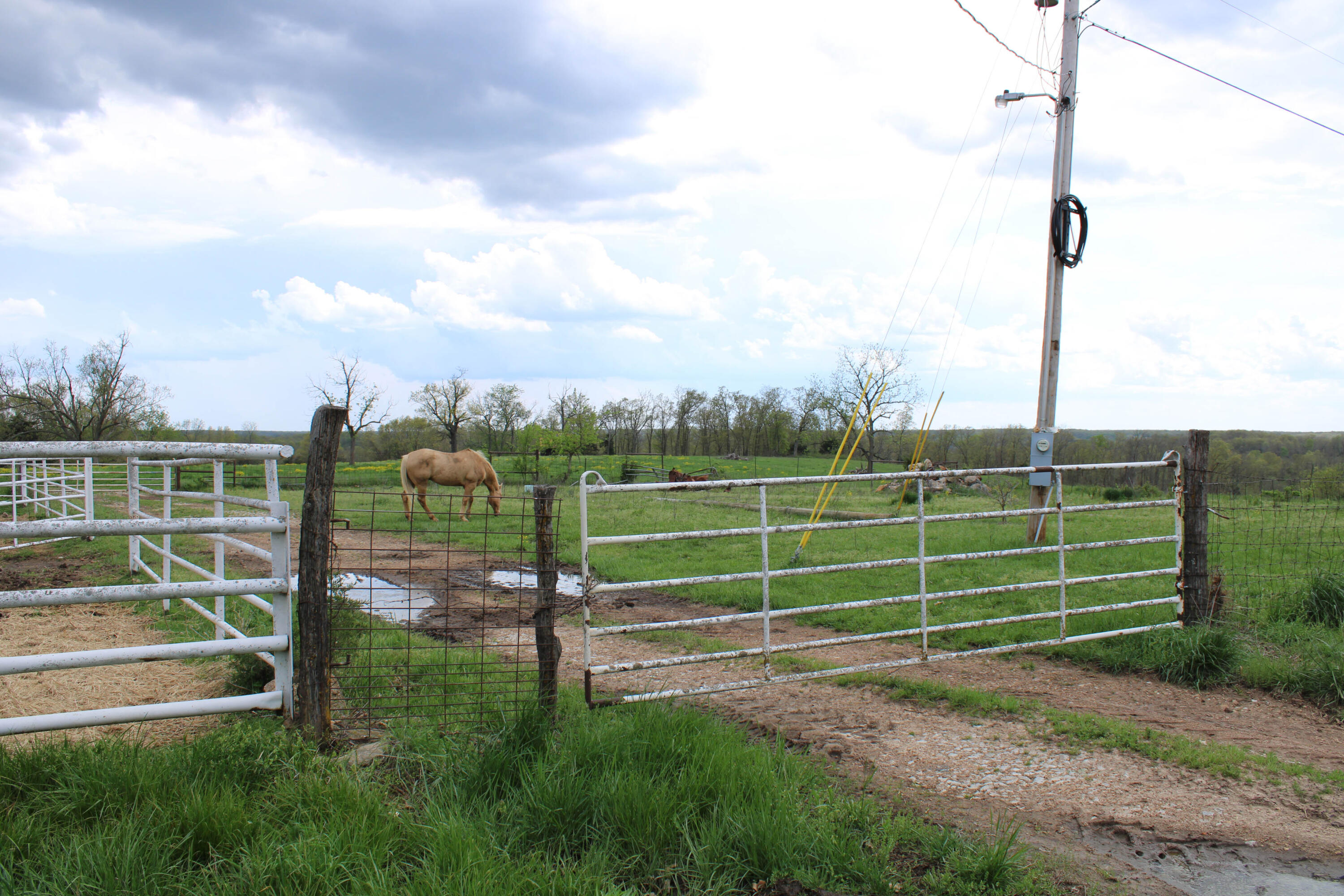 Photo 52 - Farm for sale – 1602 NE 1289 Road  Osceola, MO