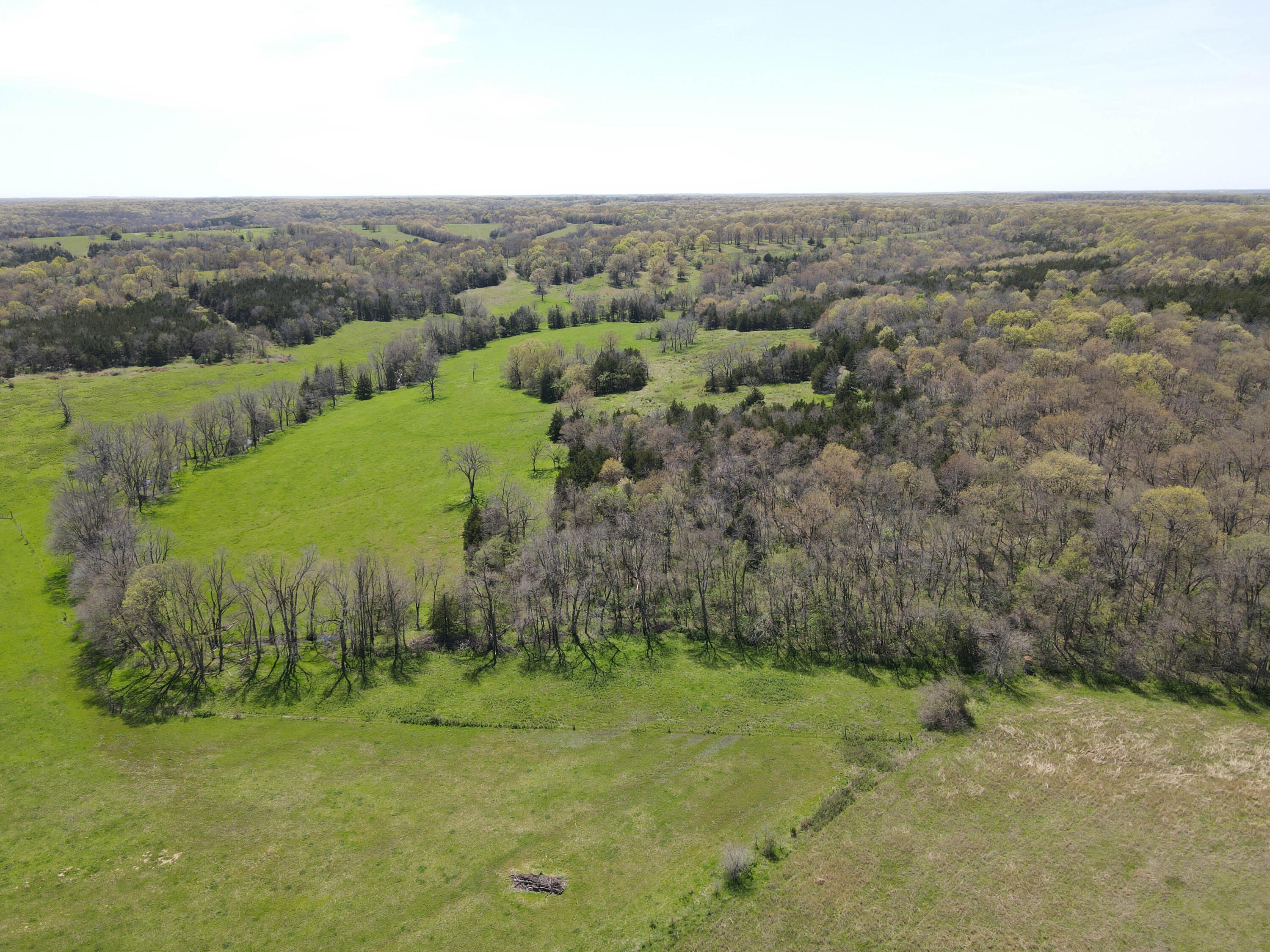 Photo 17 - Farm for sale – 1602 NE 1289 Road  Osceola, MO
