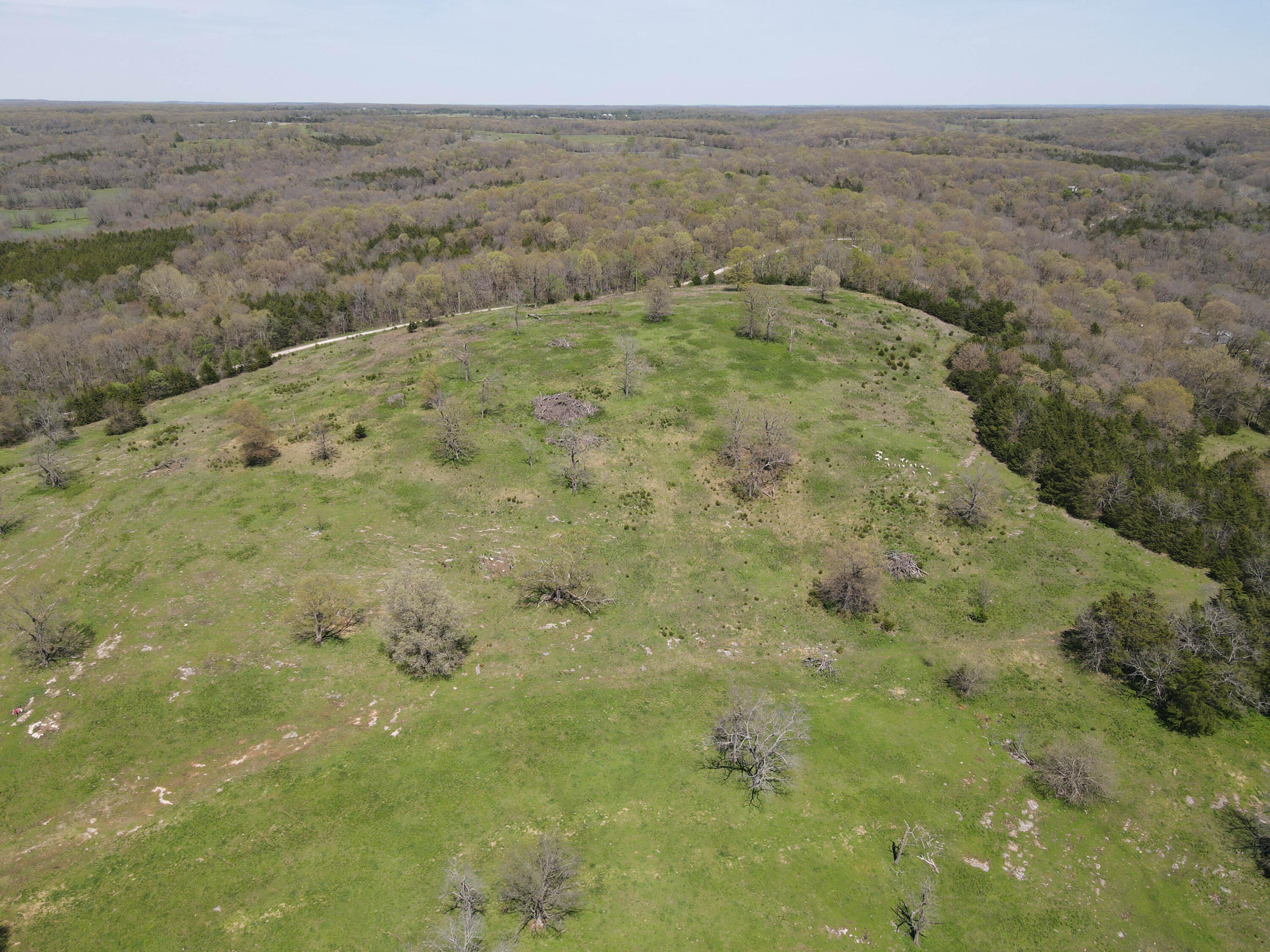 Photo 22 - Farm for sale – 1602 NE 1289 Road  Osceola, MO