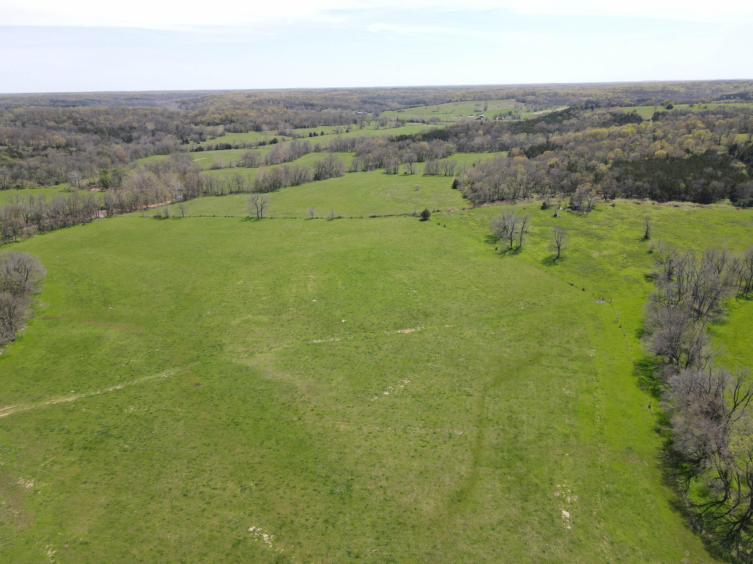 Photo 18 - Farm for sale – 1602 NE 1289 Road  Osceola, MO