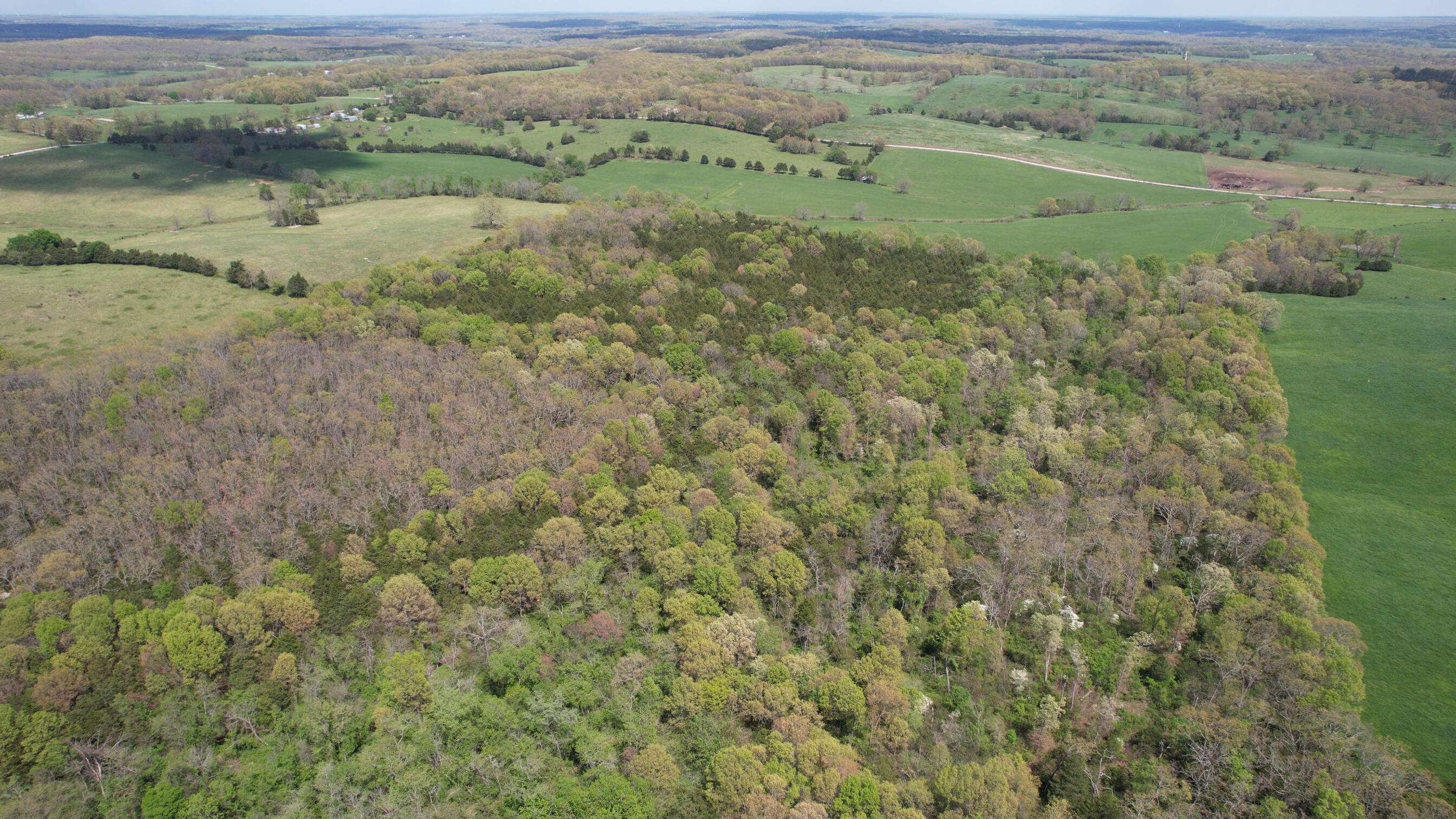 Photo 6 - Land for sale – 000  Victory Lane  Niangua, MO