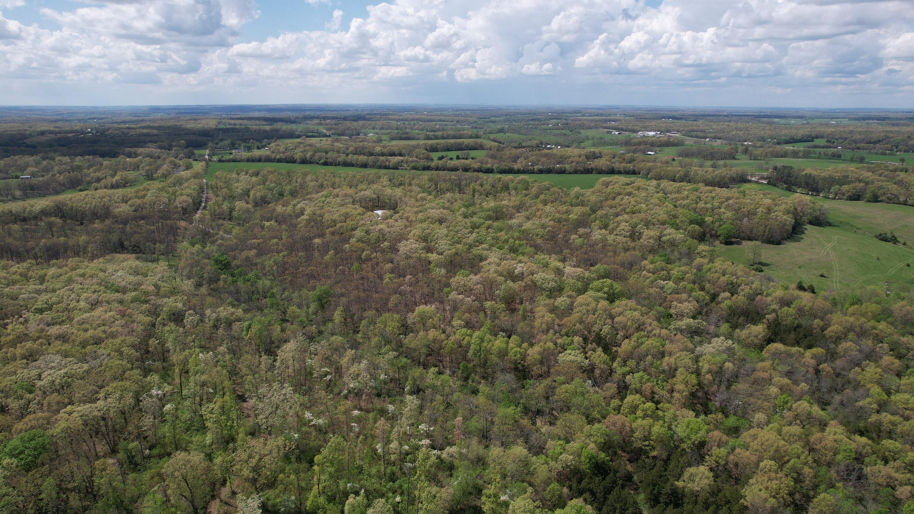 Photo 3 - Land for sale – 000  Victory Lane  Niangua, MO