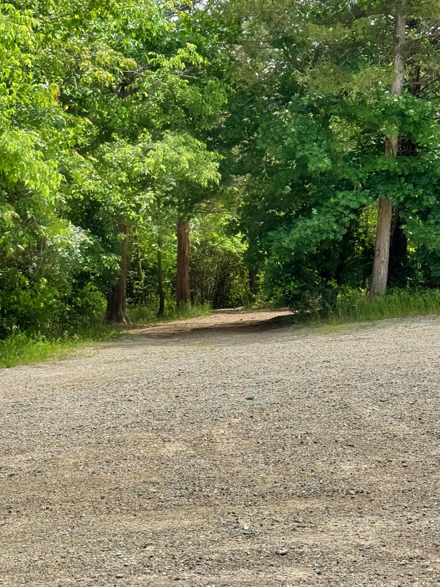 Photo 18 - Land for sale – 650  Lakeview Drive  Ridgedale, MO