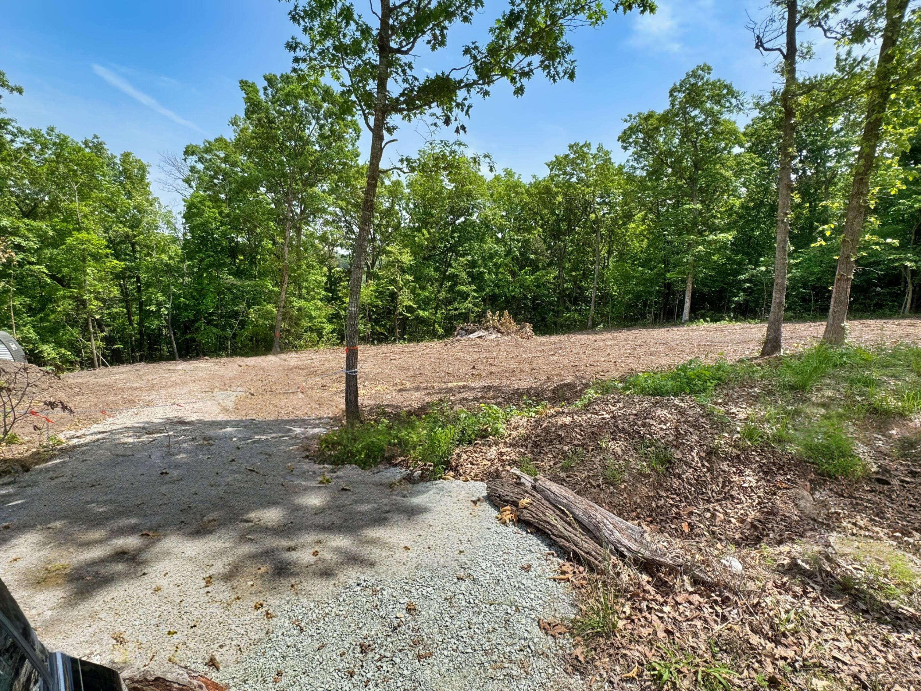 Photo 13 - Land for sale – 650  Lakeview Drive  Ridgedale, MO