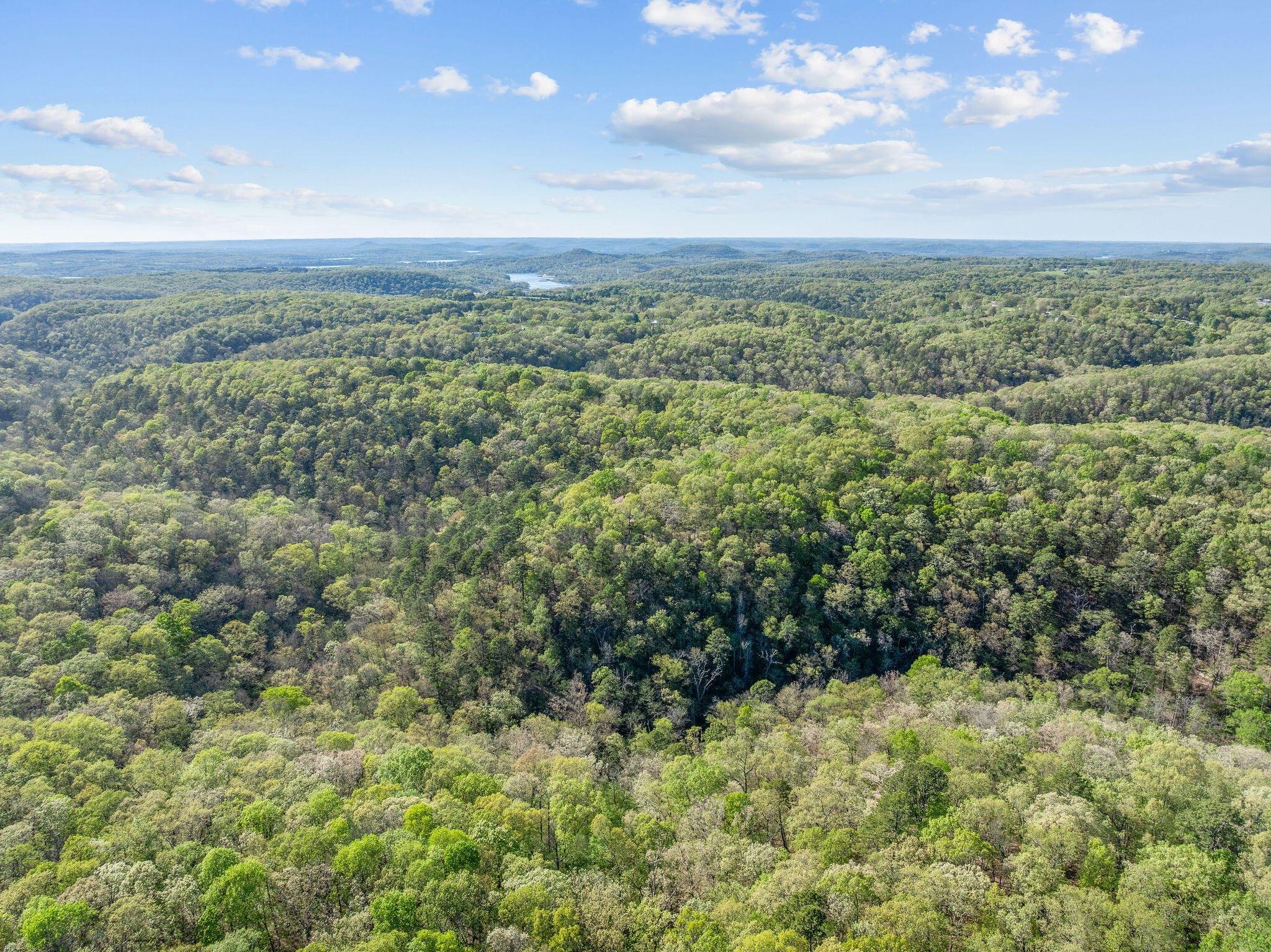 Photo 4 - Residential for sale – 160  Old Horseshoe Rdg   Lampe, MO