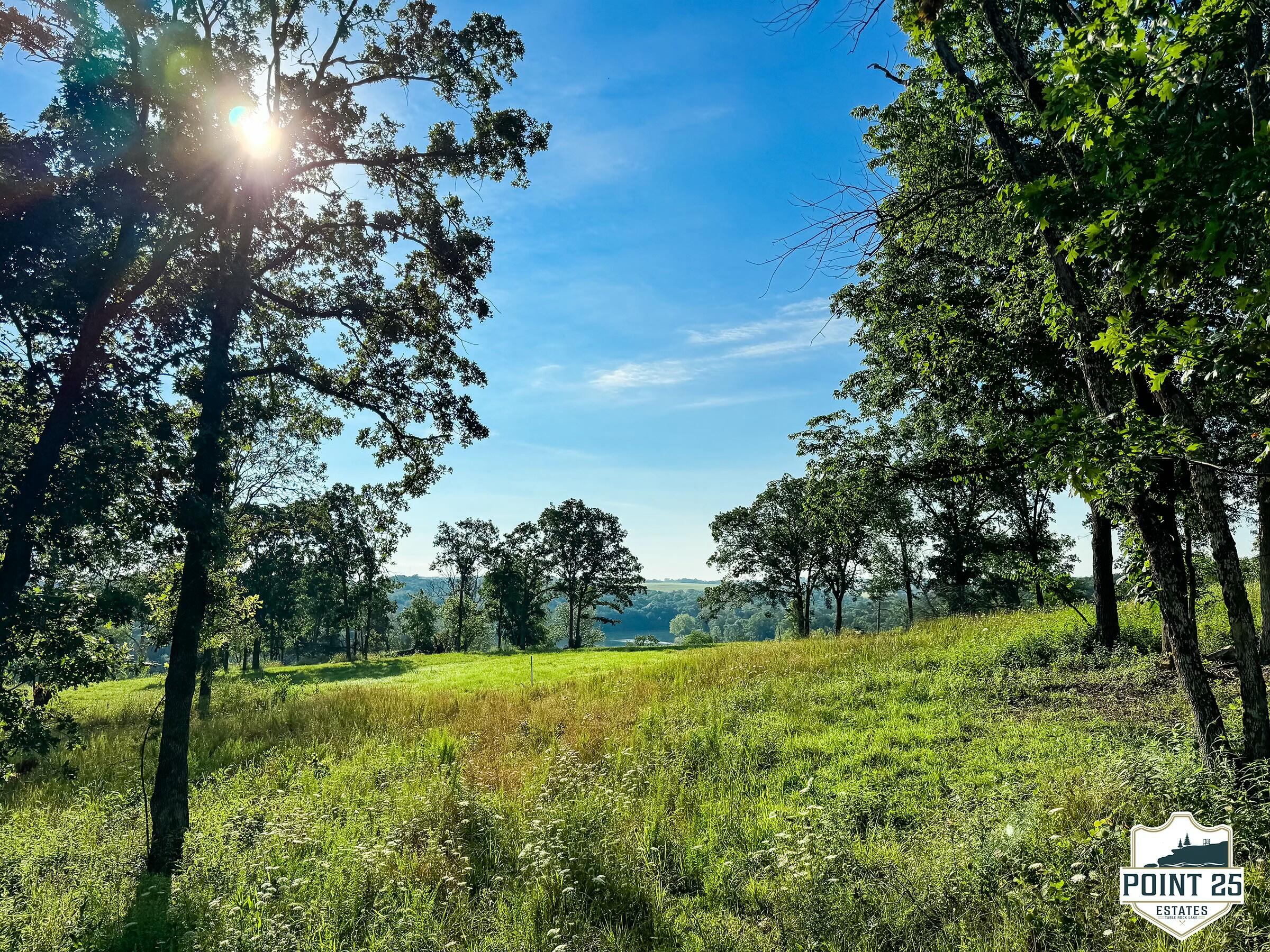 Photo 3 - Land for sale – Lot 40a  Boulder Rdg   Eagle Rock, MO