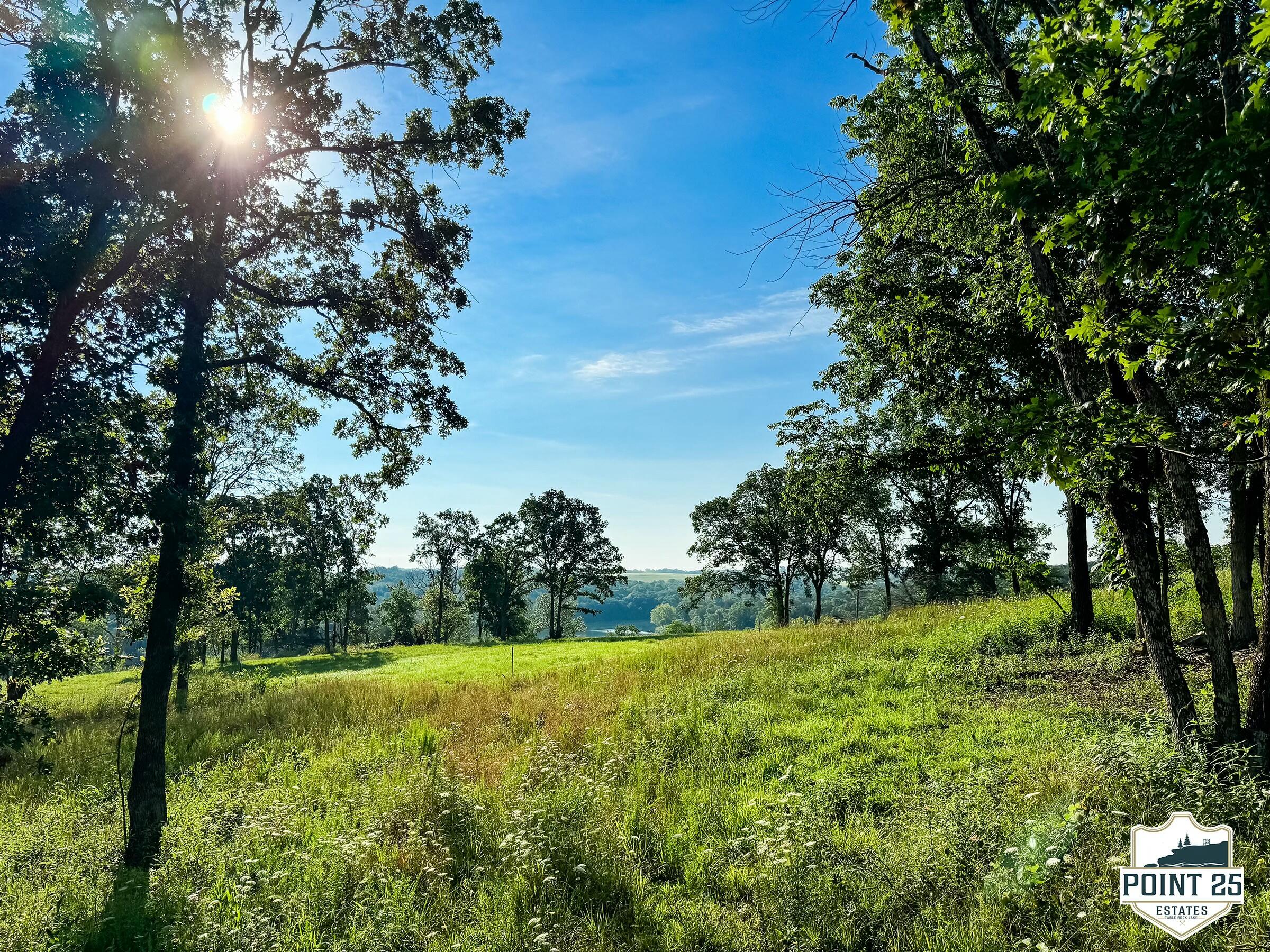 Photo 2 - Land for sale – Lot 40a  Boulder Rdg   Eagle Rock, MO