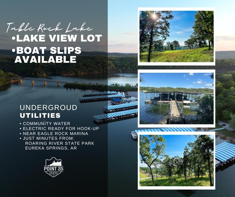 Photo 11 - Land for sale – Lot 40a  Boulder Rdg   Eagle Rock, MO
