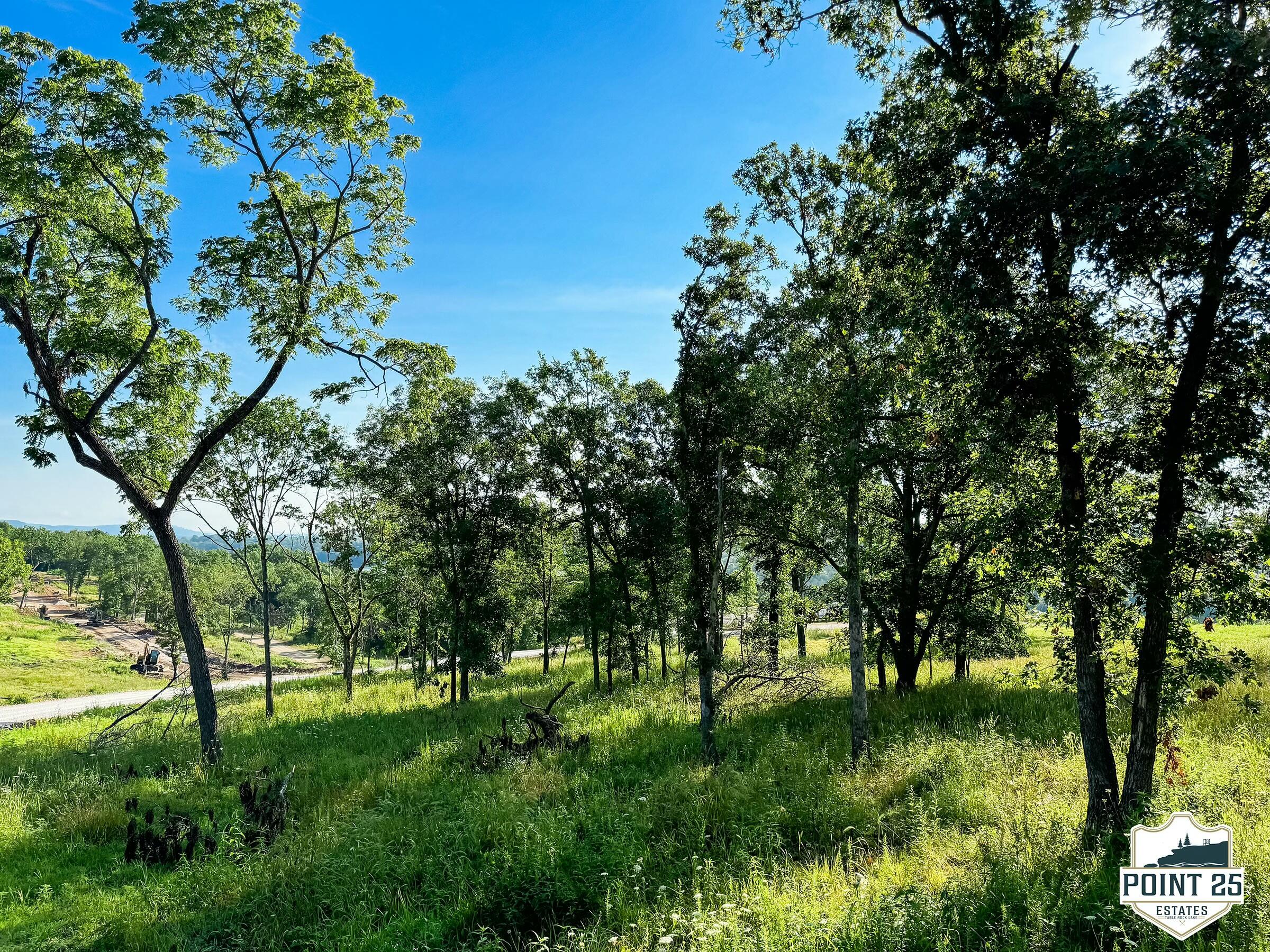 Photo 4 - Land for sale – Lot 40a  Boulder Rdg   Eagle Rock, MO
