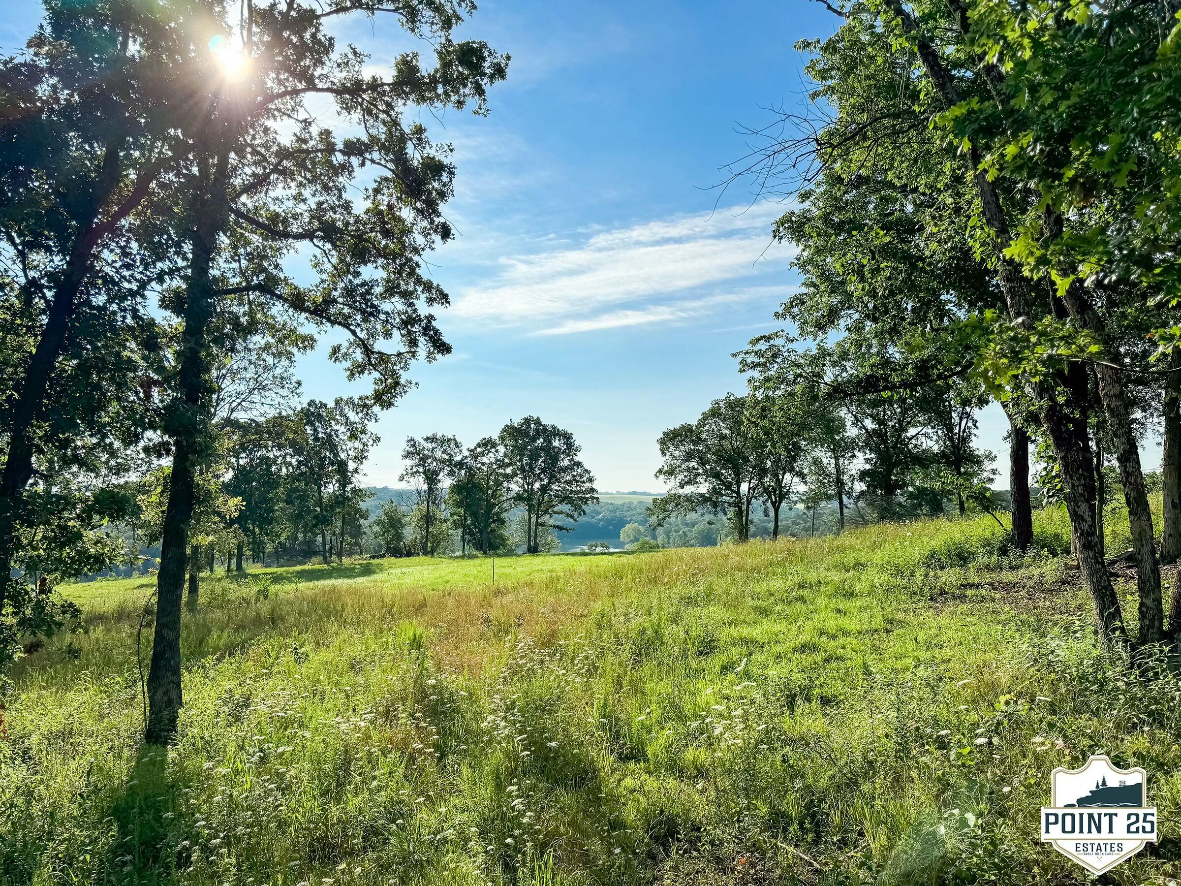 Photo 5 - Land for sale – Lot 40a  Boulder Rdg   Eagle Rock, MO