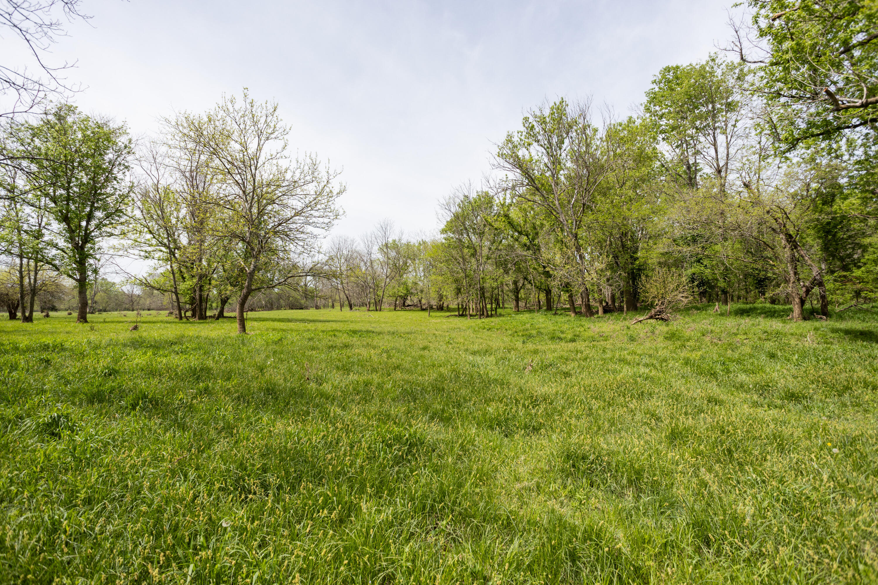 Photo 18 - Residential for sale – 4940  Sellers Ford Road  Hartville, MO