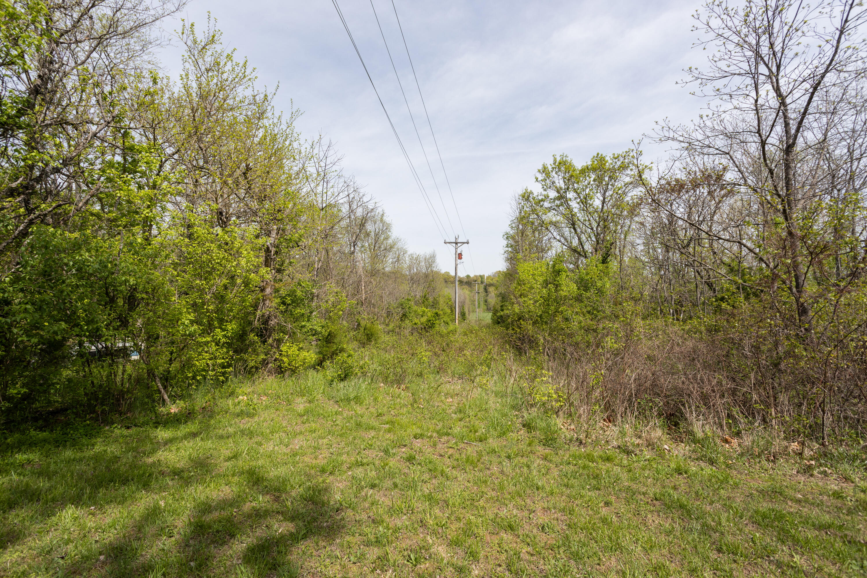 Photo 10 - Residential for sale – 4940  Sellers Ford Road  Hartville, MO