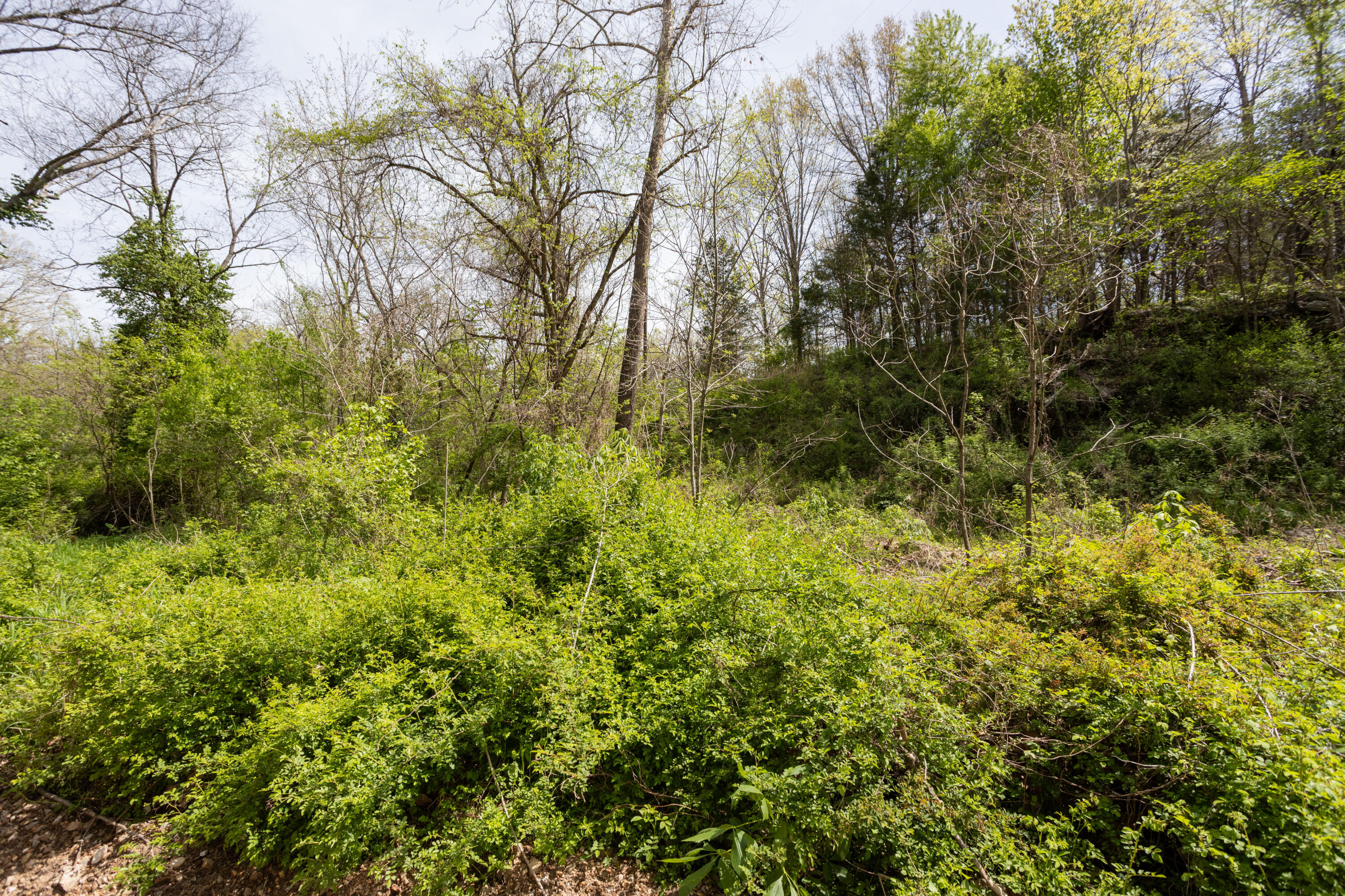 Photo 13 - Residential for sale – 4940  Sellers Ford Road  Hartville, MO