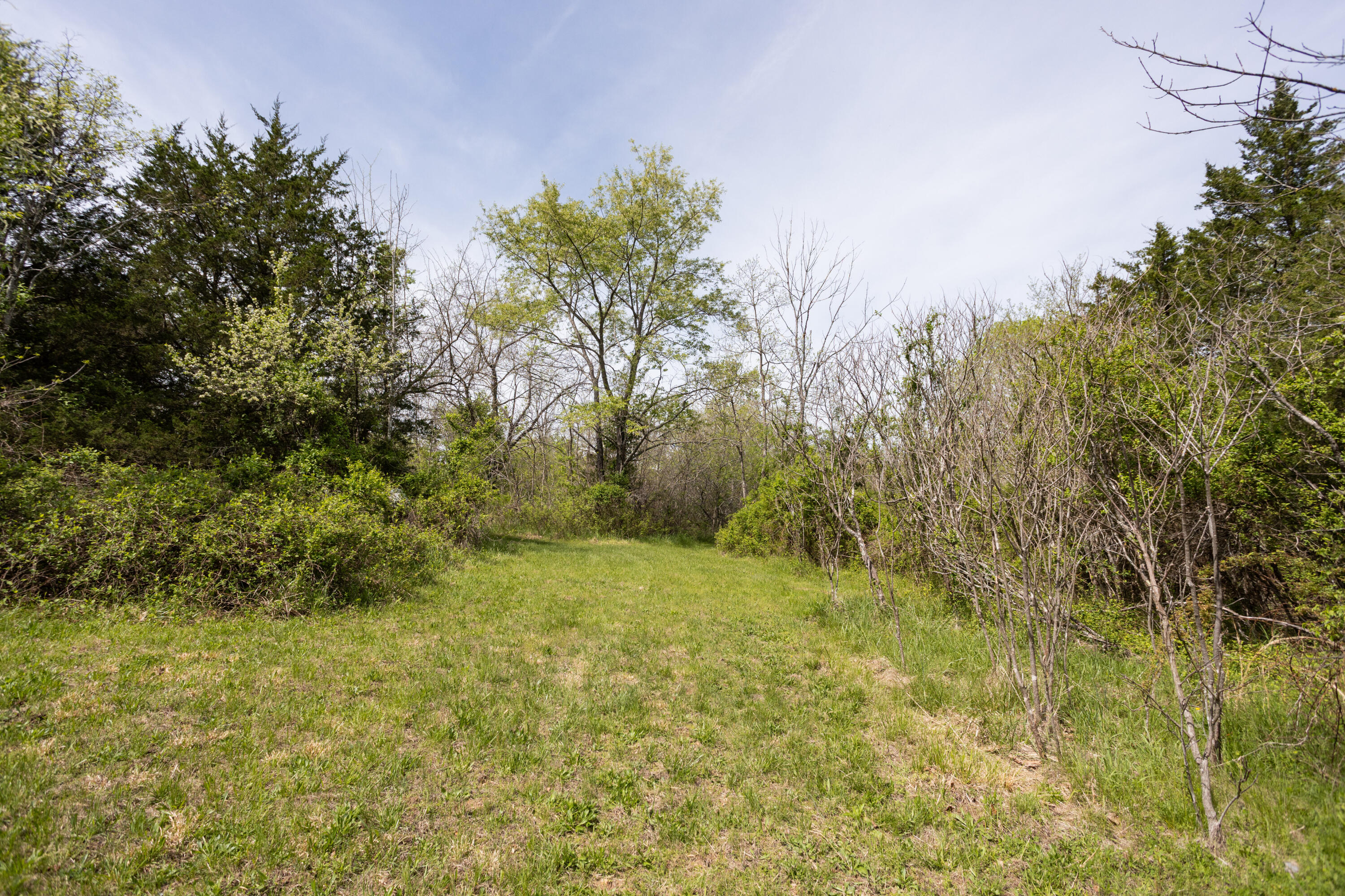 Photo 6 - Residential for sale – 4940  Sellers Ford Road  Hartville, MO