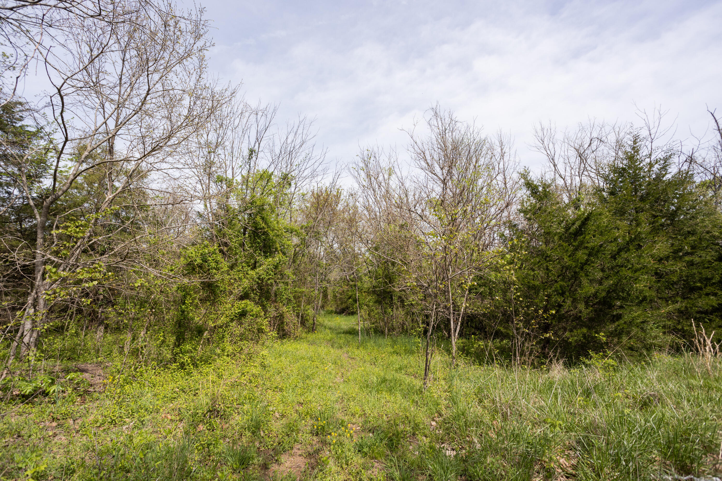Photo 4 - Residential for sale – 4940  Sellers Ford Road  Hartville, MO