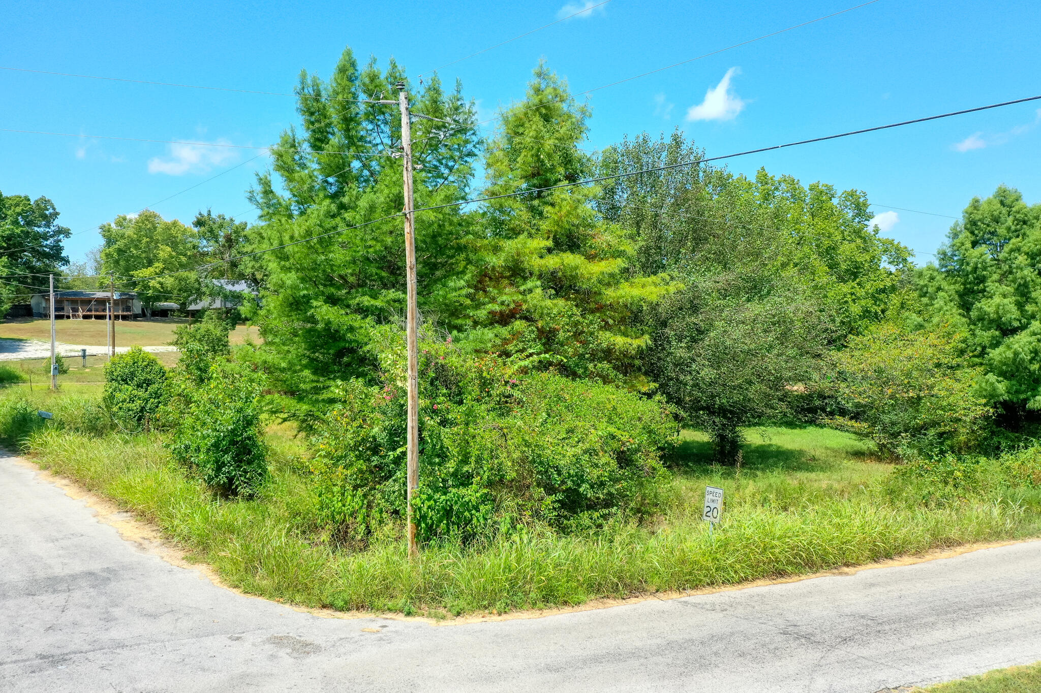 Photo 11 - Land for sale – 000  Farm Road 1220   Eagle Rock, MO