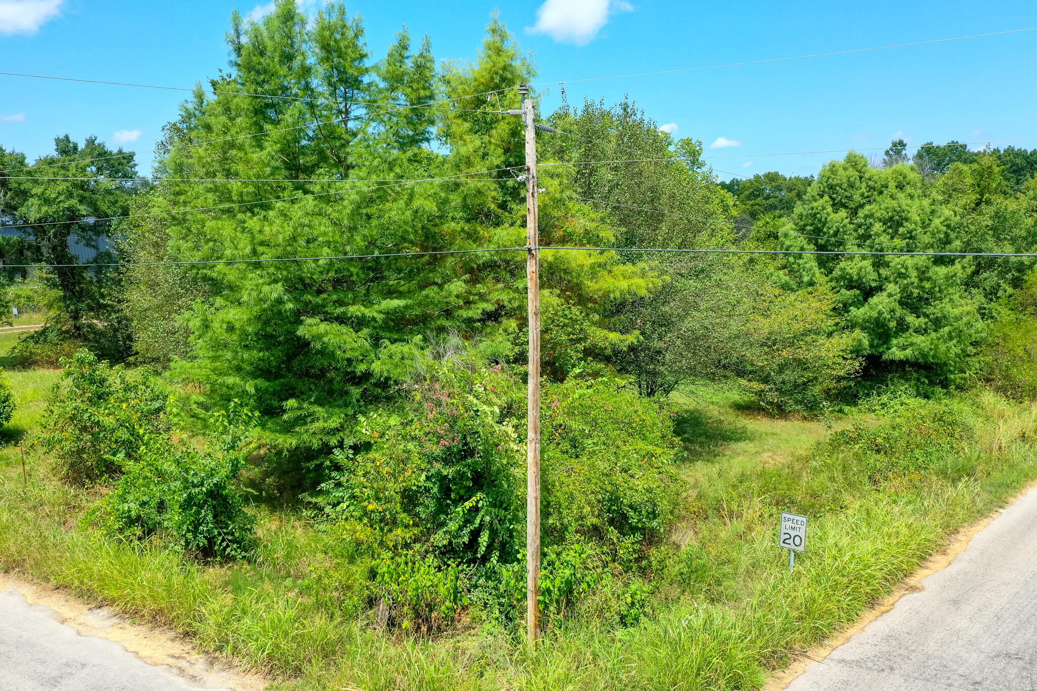 Photo 13 - Land for sale – 000  Farm Road 1220   Eagle Rock, MO