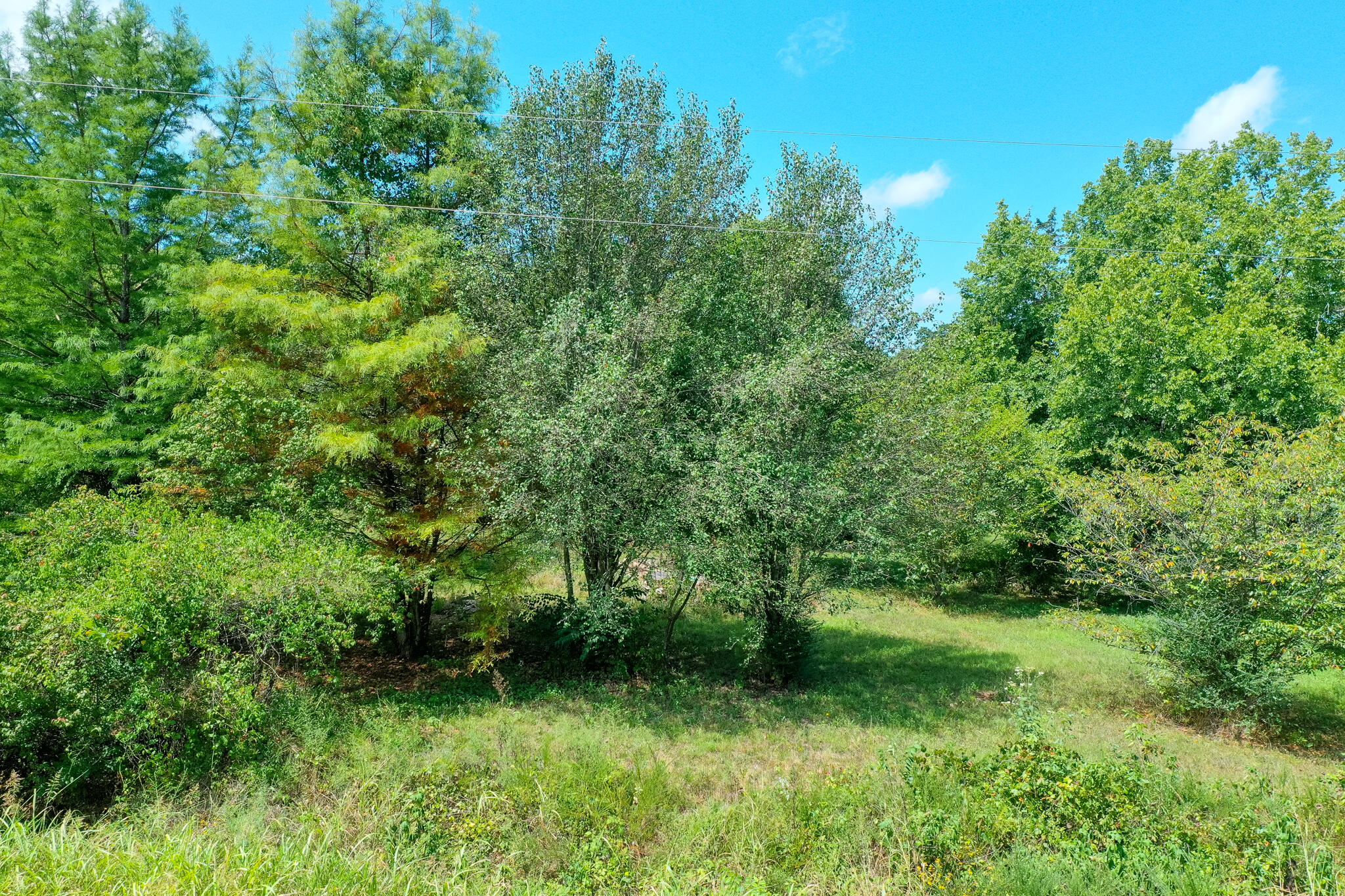 Photo 12 - Land for sale – 000  Farm Road 1220   Eagle Rock, MO