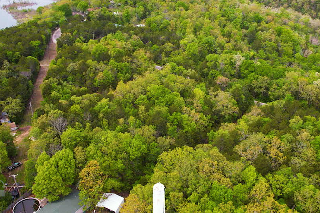 Photo 4 - Land for sale – Tbd  Catfish Street  Kissee Mills, MO
