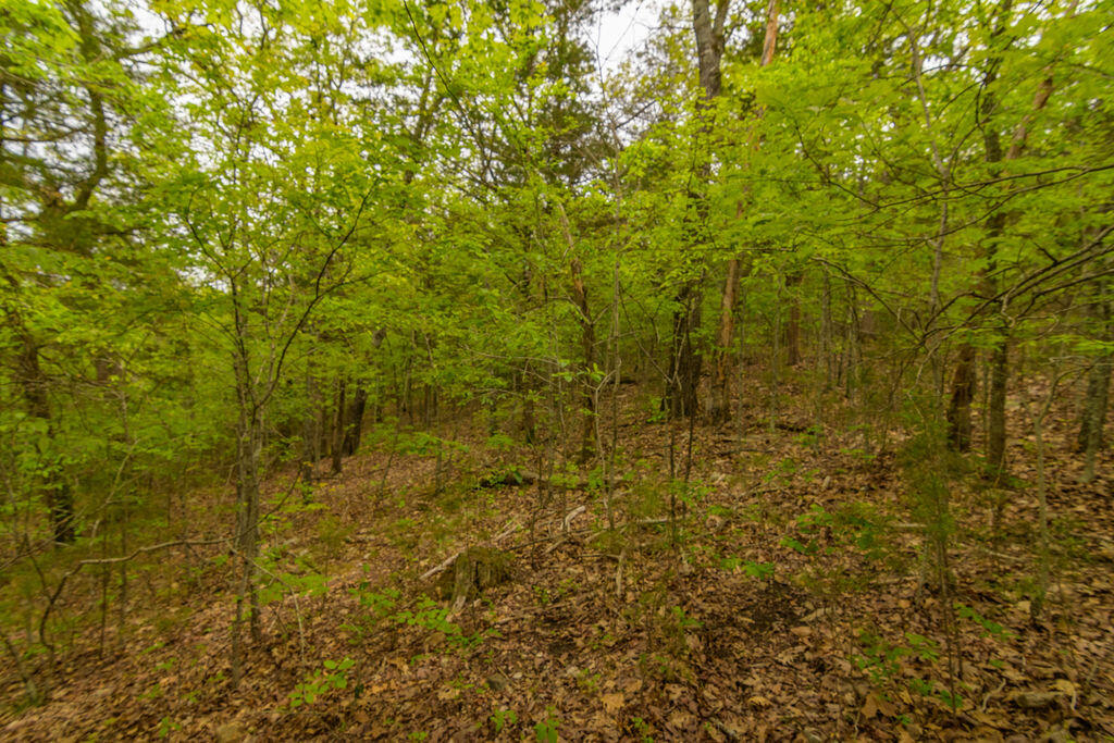 Photo 8 - Land for sale – Tbd  Catfish Street  Kissee Mills, MO