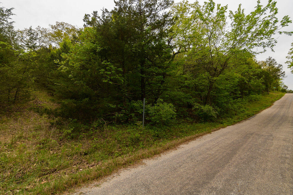 Photo 6 - Land for sale – Tbd  Catfish Street  Kissee Mills, MO