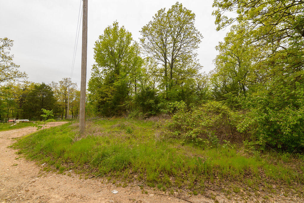 Photo 7 - Land for sale – Tbd  Perch Street  Kissee Mills, MO