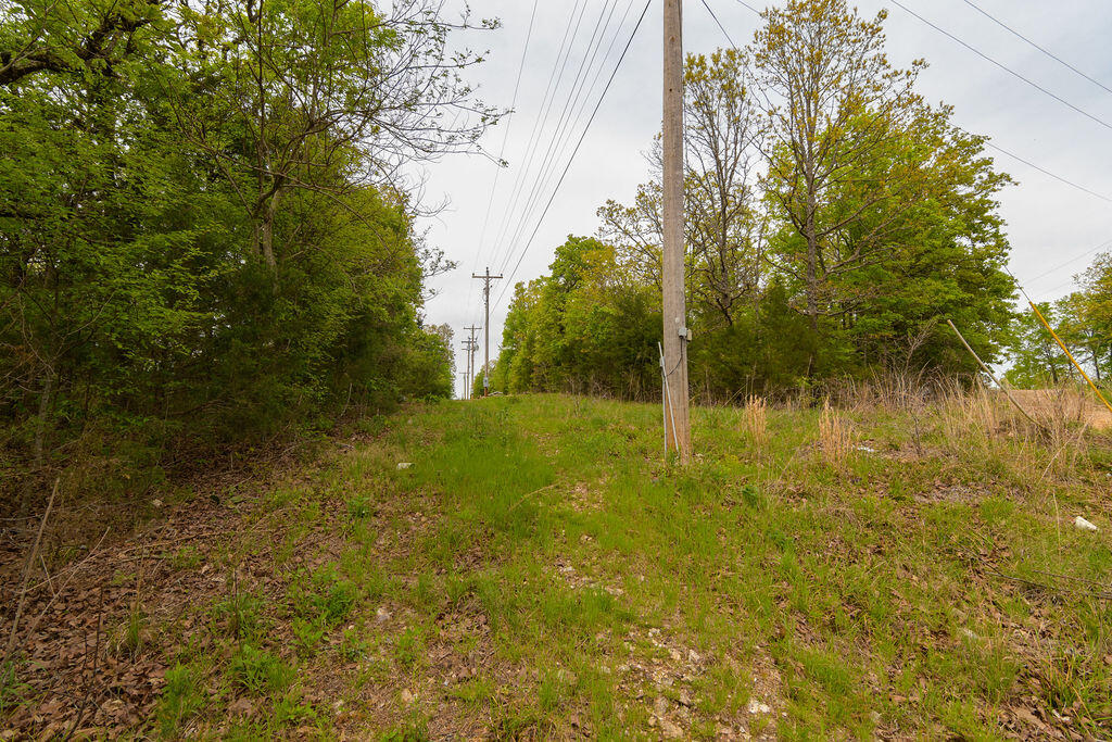 Photo 9 - Land for sale – Tbd  Perch Street  Kissee Mills, MO