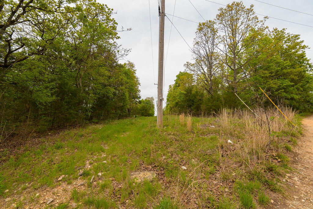 Photo 15 - Land for sale – Tbd  Perch Street  Kissee Mills, MO