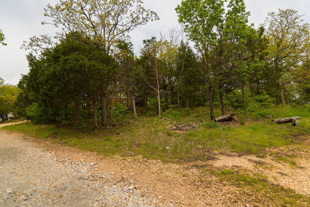 Photo 2 - Land for sale – Tbd  Perch Street  Kissee Mills, MO