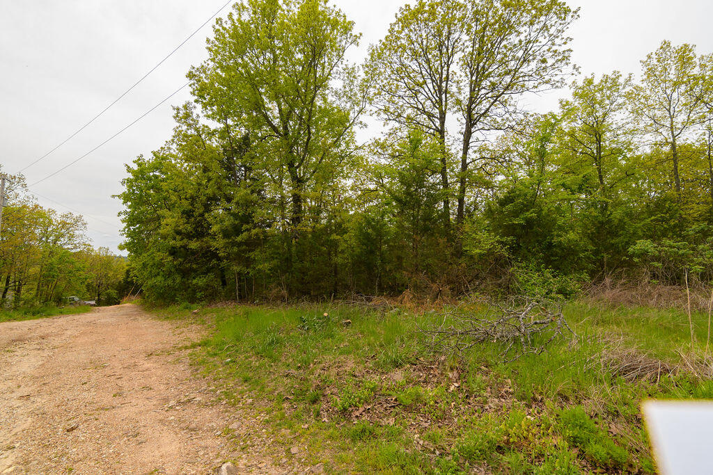 Photo 8 - Land for sale – Tbd  Perch Street  Kissee Mills, MO