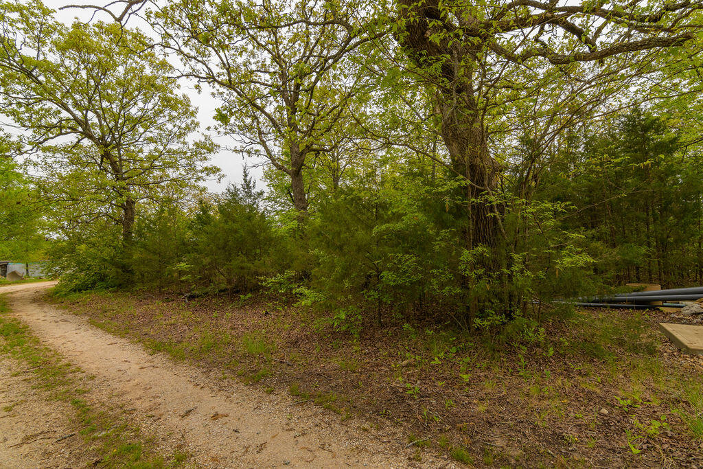 Photo 5 - Land for sale – Tbd  Perch Street  Kissee Mills, MO